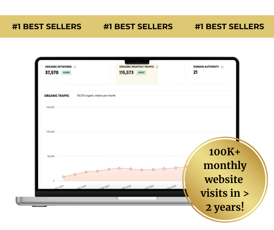 100K monthly website visits from SEO copywriting services