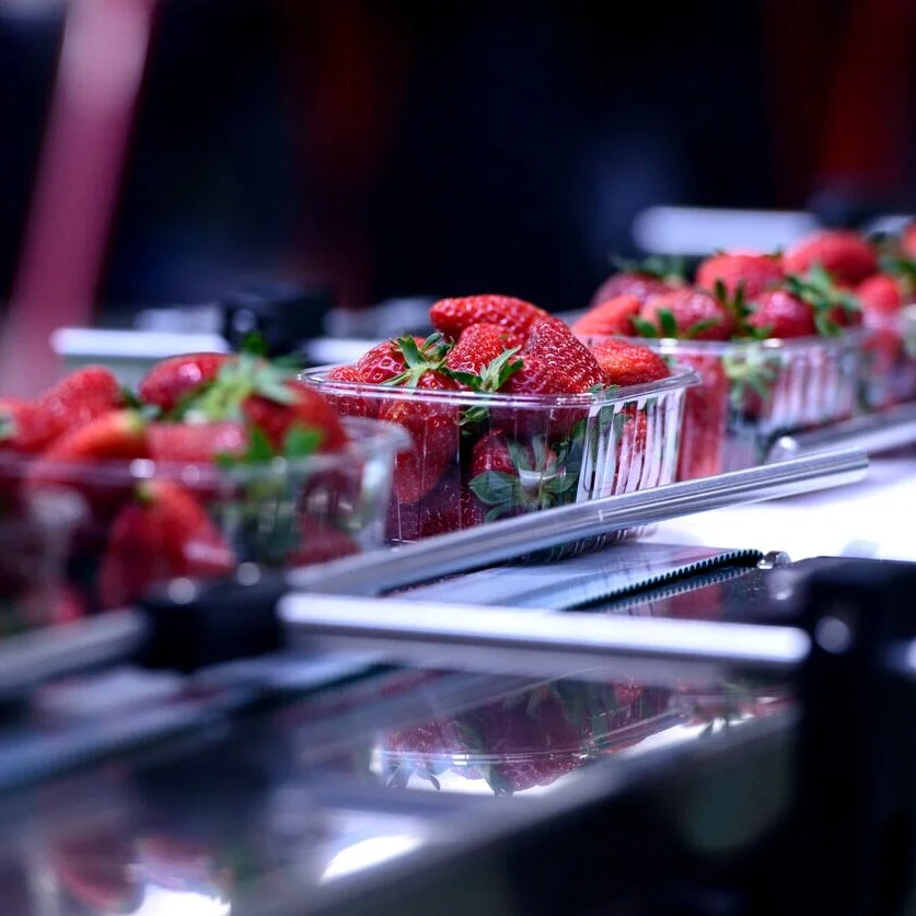 Packaging Supplies Perth, Industrial and Food Packaging l Vision Pack