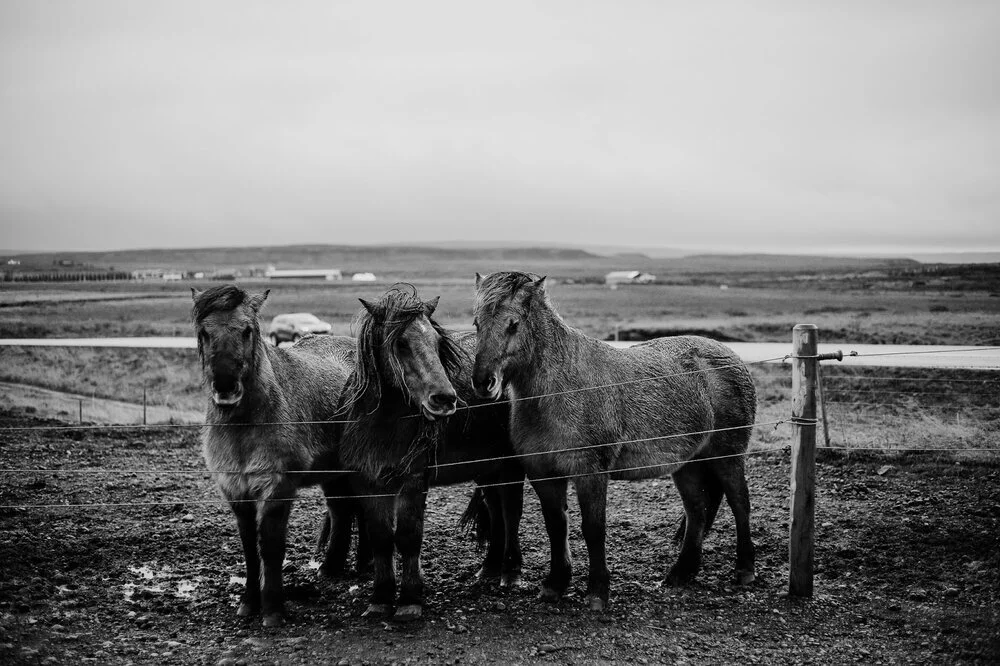 That's So Iceland: I've Never Been So Cold