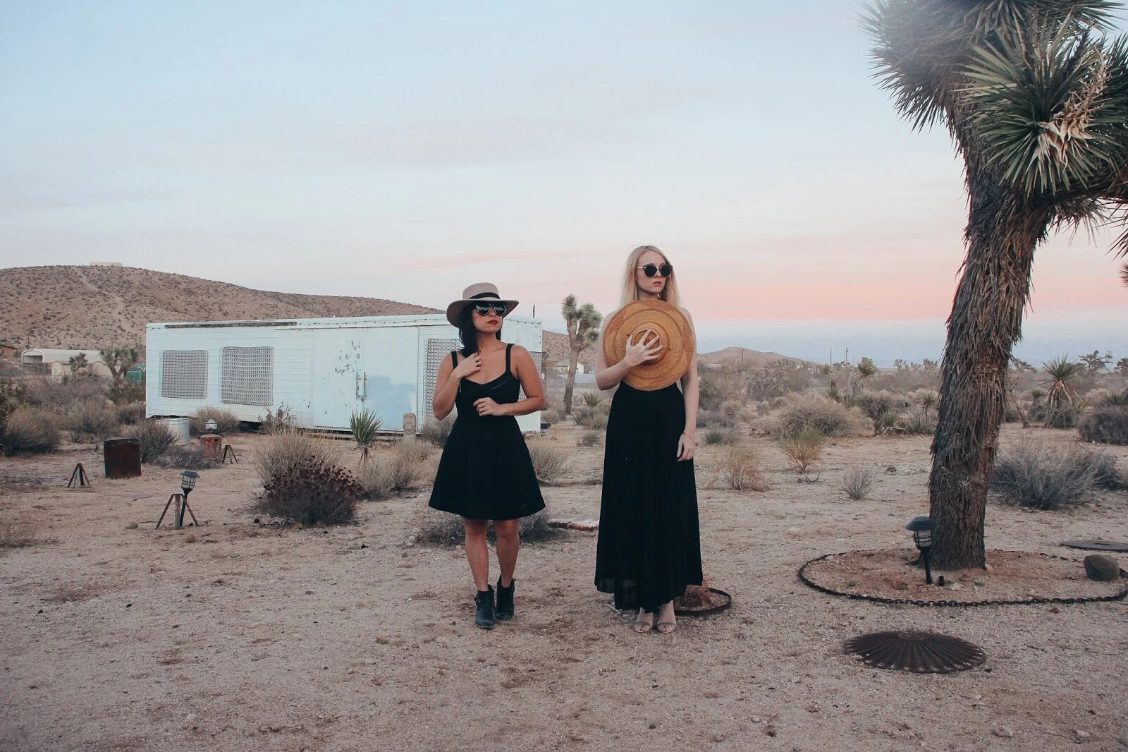 Joshua Tree: Photoshoot in the Desert