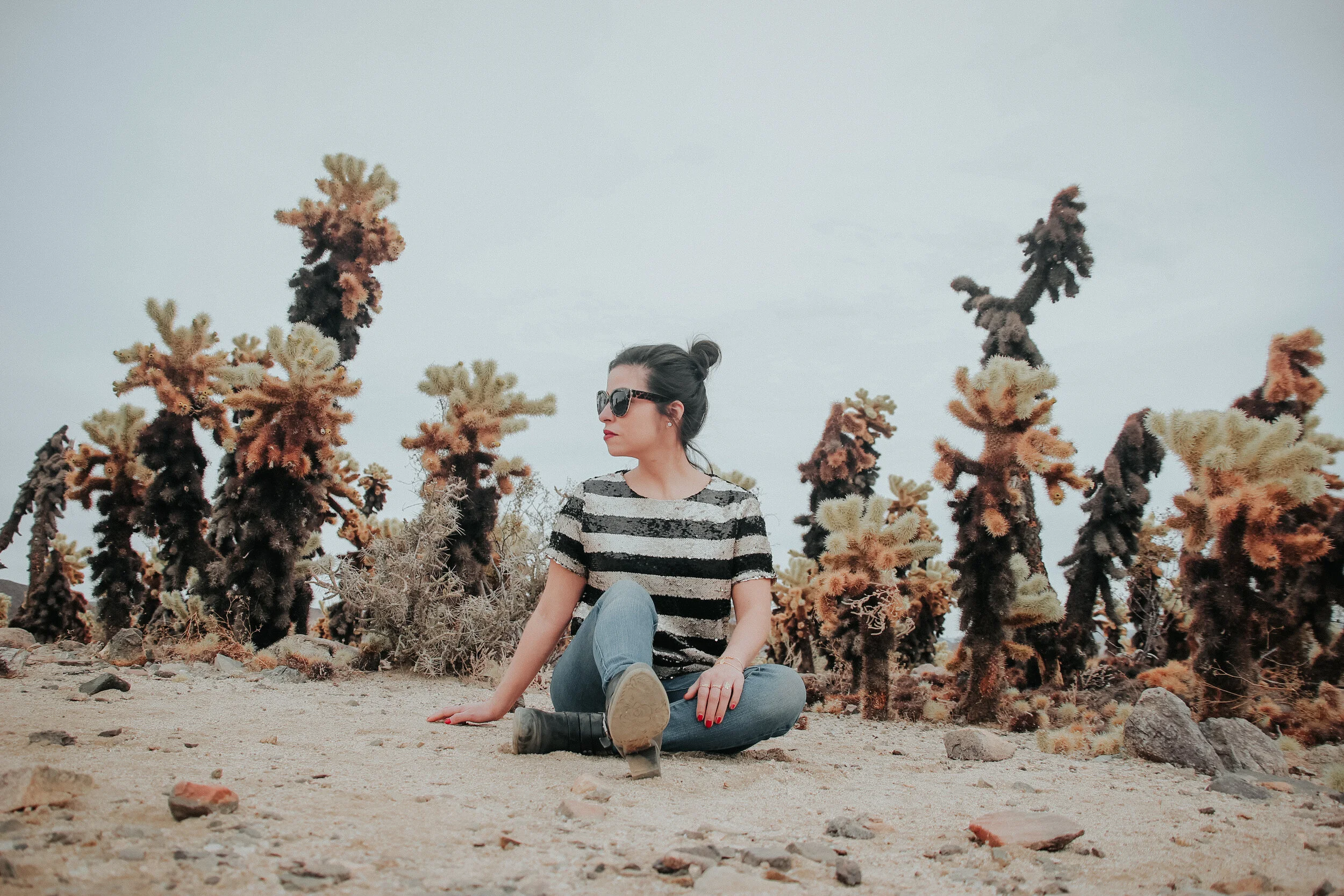 Sequins &amp; Cactus