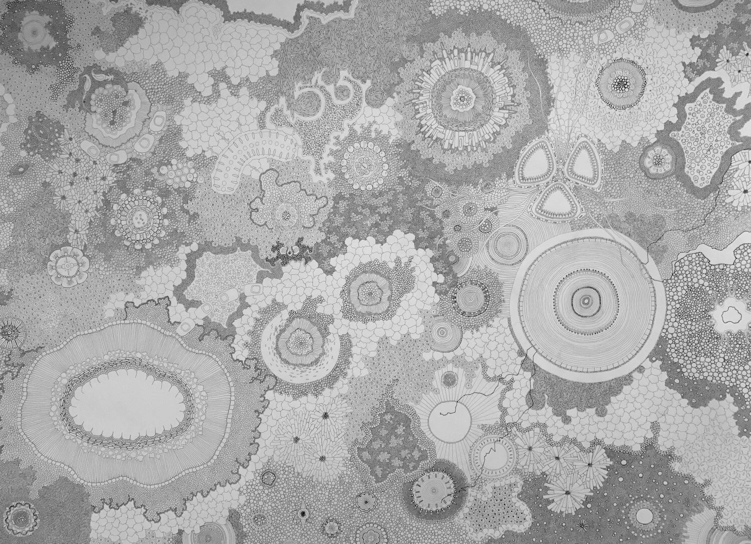 Celestial Sea 3_ink on paper_40x55.jpg
