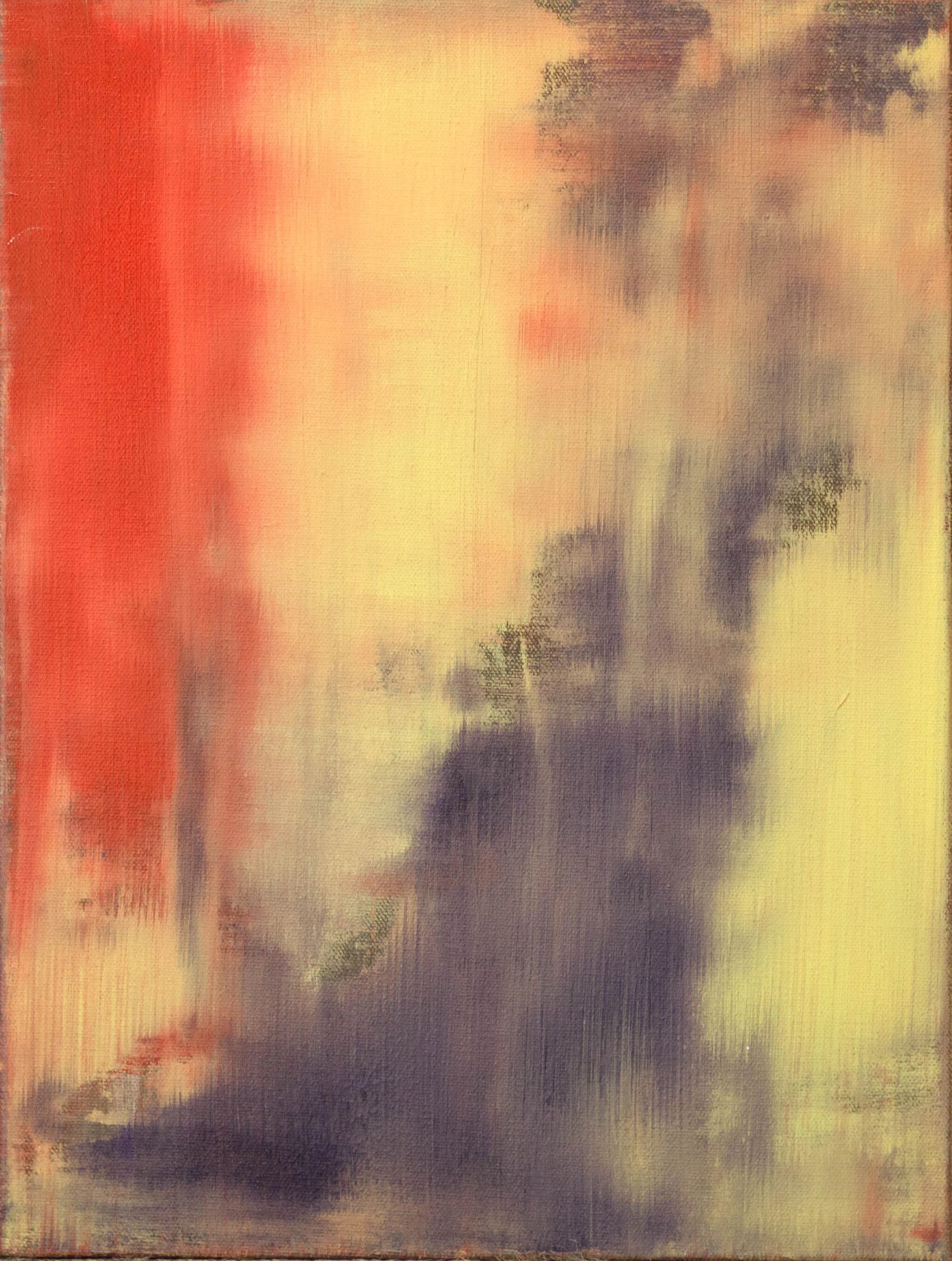 Erika Rachel - Excess - 12x16 - 2013.jpg