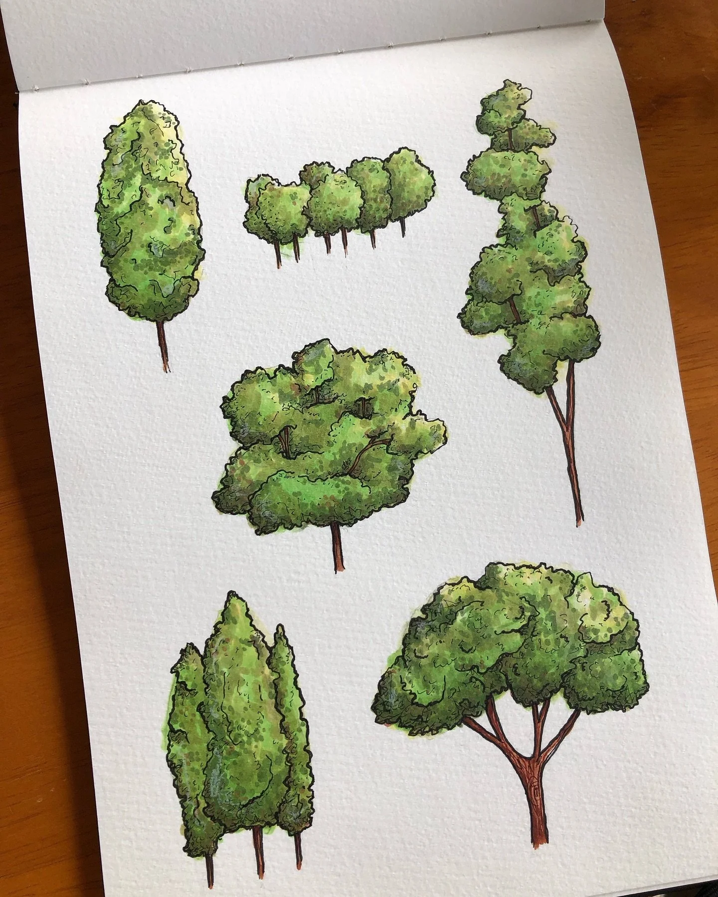 Day 11 - Tree
I have joined this challenge of drawing in 20 minutes something from the list (this one took me around 40). I’m having fun doing this with some friends all together on Googlemeet. If you want to join us send me a DM and I’l