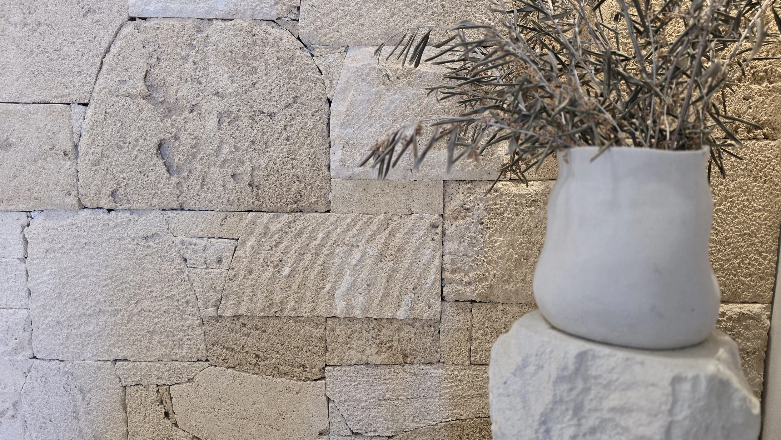 Apollo Shell Limestone Cladding - Stone Collective