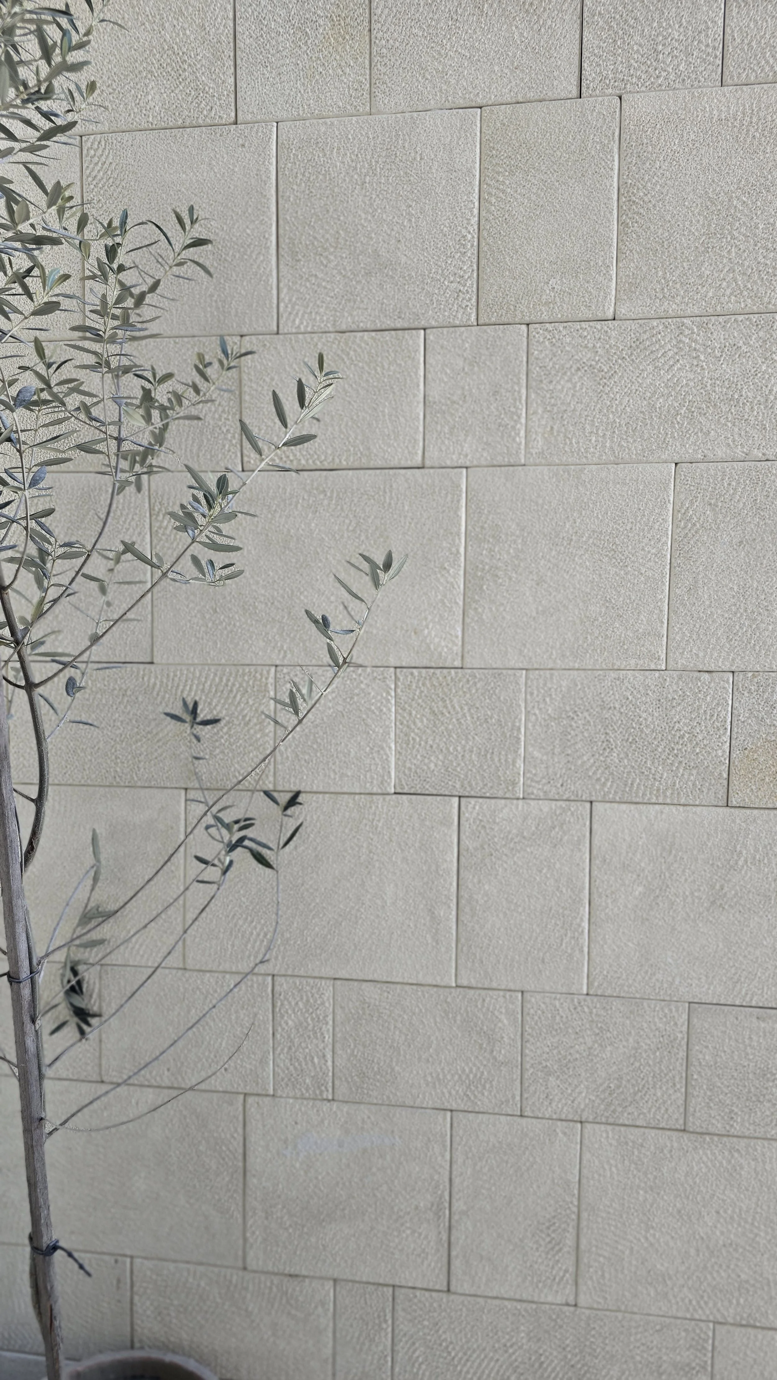 Apollo Oyster Limestone Cladding - Stone Collective