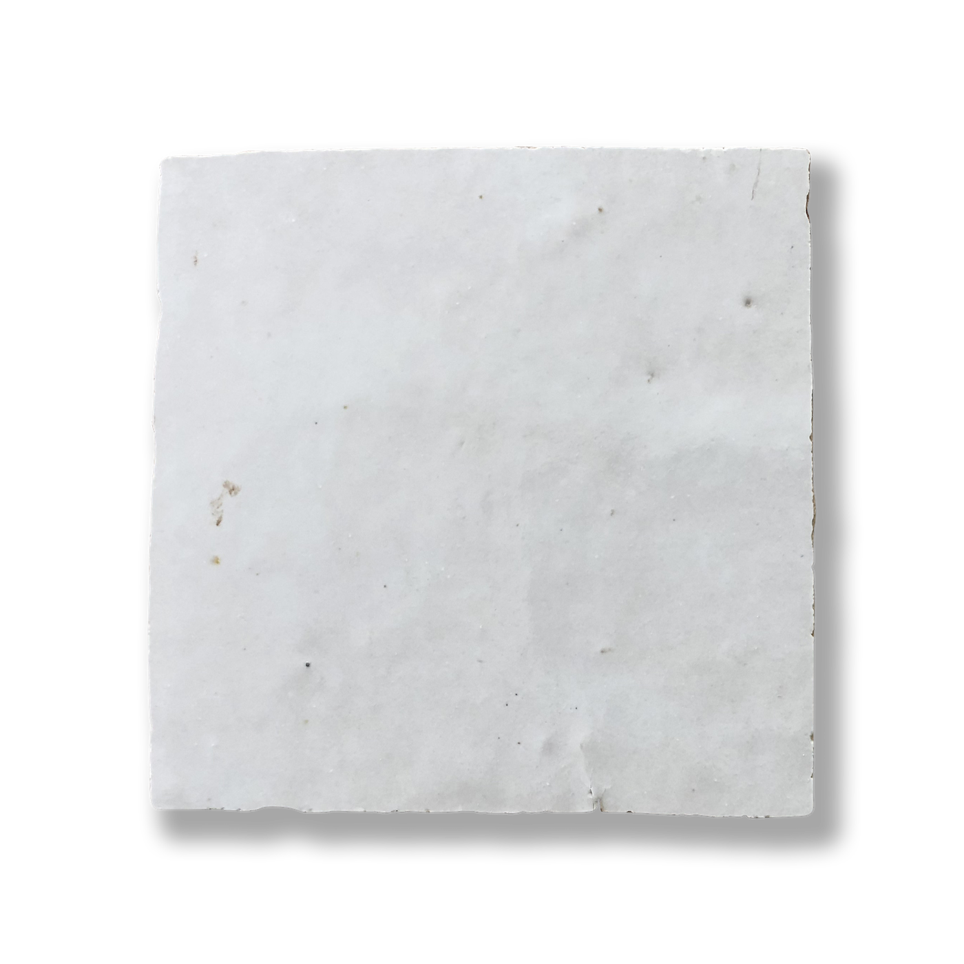 LILY STATIC (1).png
