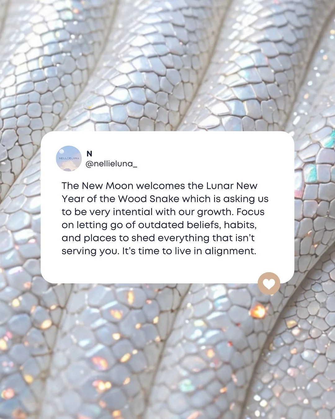 &laquo;&nbsp;I am powerful and ready to create the life of my dreams era&nbsp;&raquo; ✨

#lunarnewyear #woodsnake #snake #newmoon #newgoals #newyear #transformation #transform #spirituality #alchemy #goalsetter #highfrequency #astrology #horoscope #c