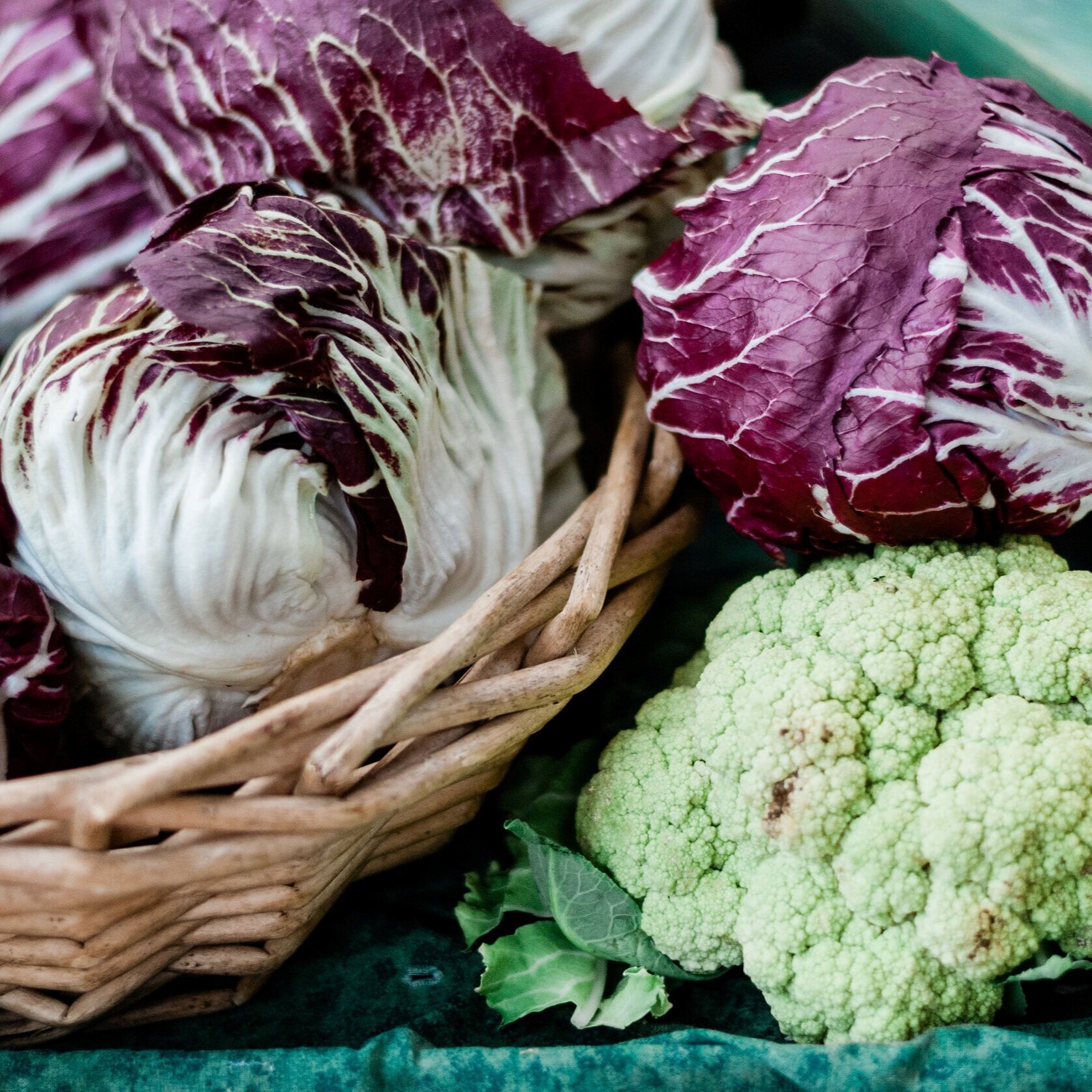 FarmersMarketEdit14+CABBAGE+.jpg