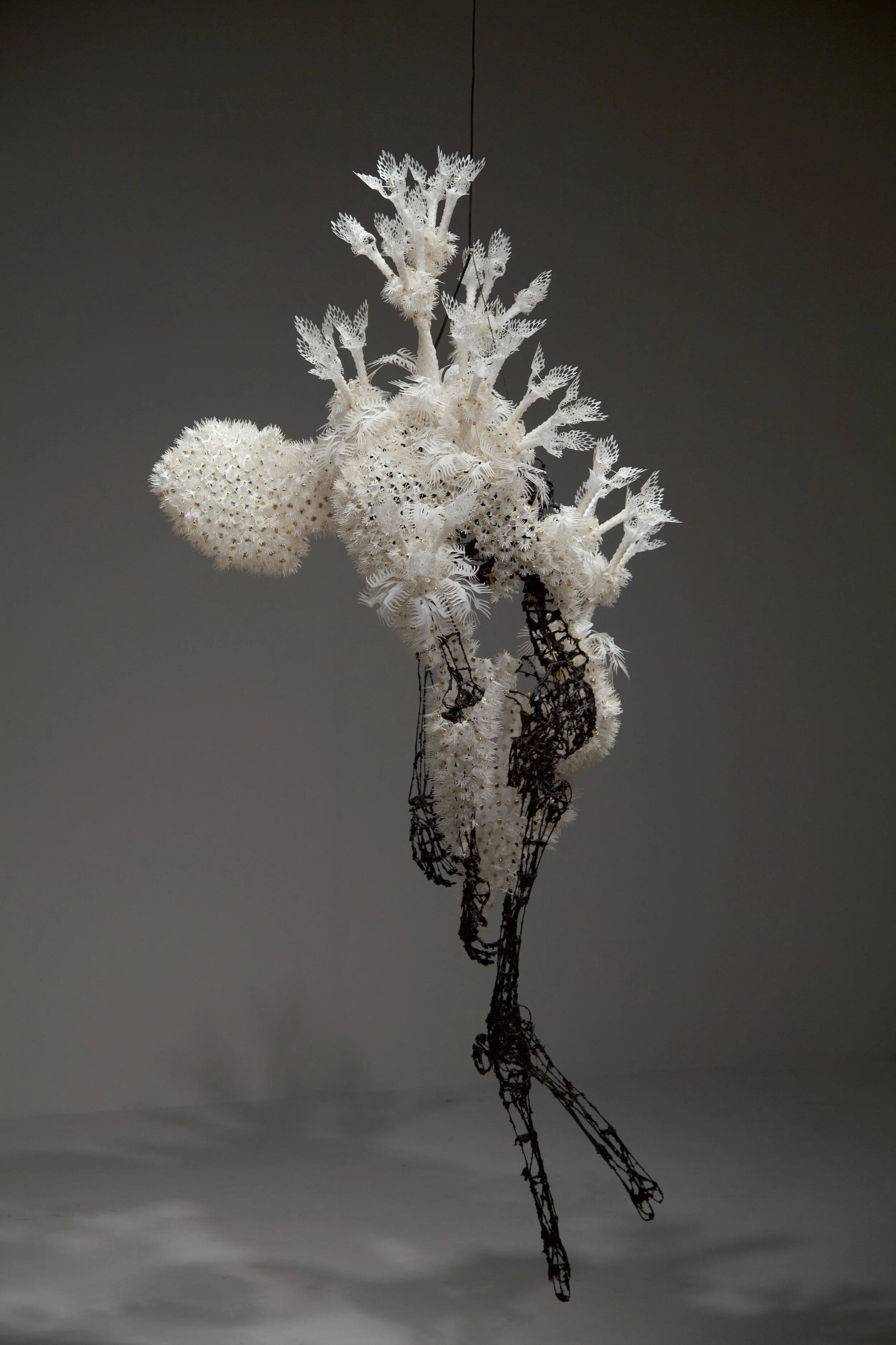 Nature, Movement and Mythology: A Conversation with Casey Curran