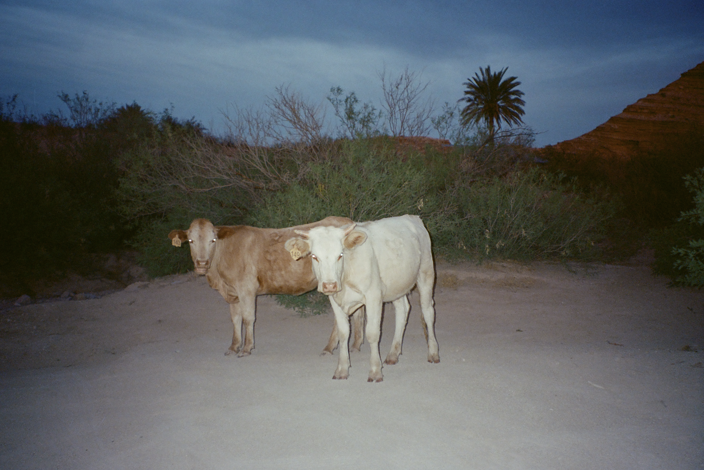 Screenshot 2025-12-15 at 7.39.23 PM.png