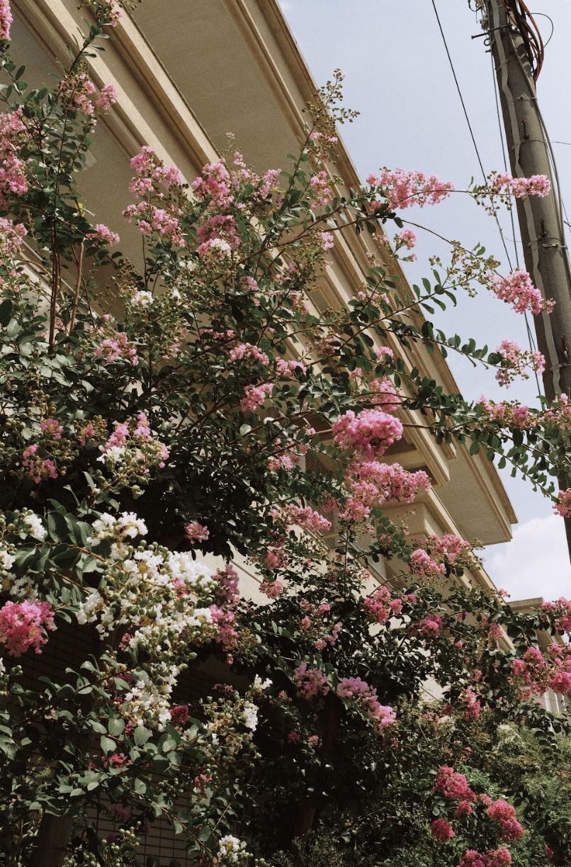 Screenshot 2025-12-17 at 3.01.25 PM.png