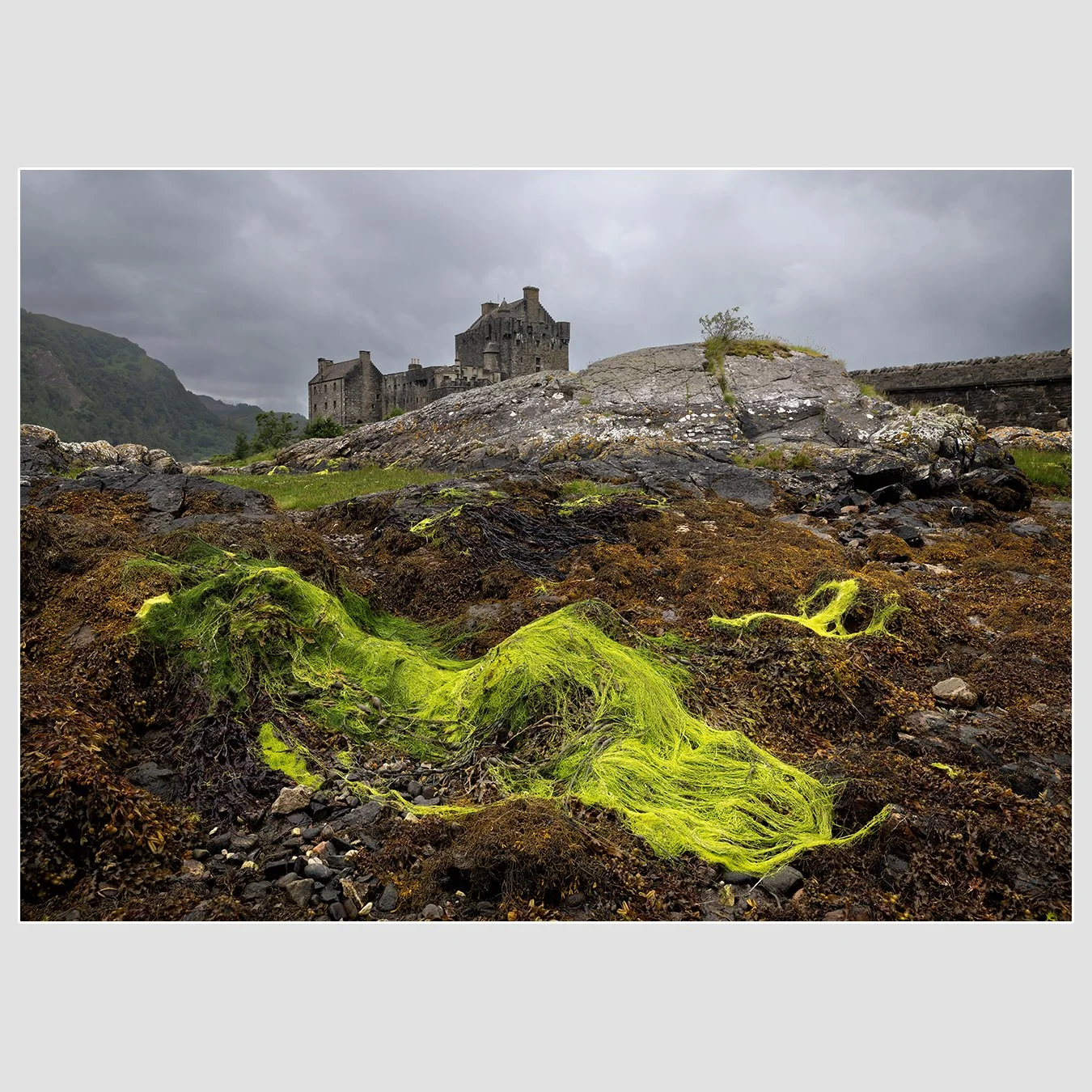 Eilean Donan Castle, Kyle of Lochalsh, Scotland
1/80 |  ISO 100 |  &fnof;10 |  24 mm