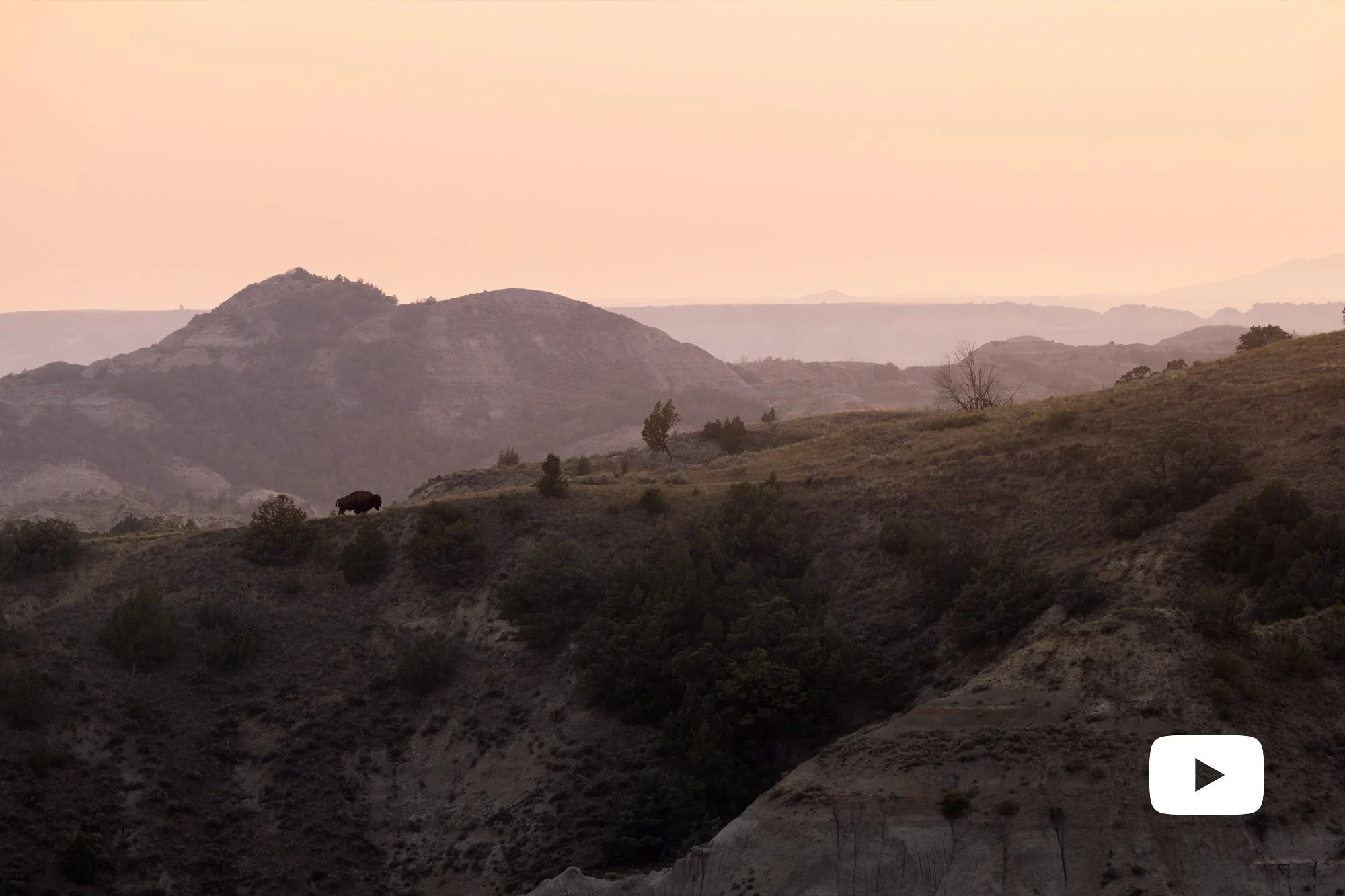 Theodore Roosevelt National Park