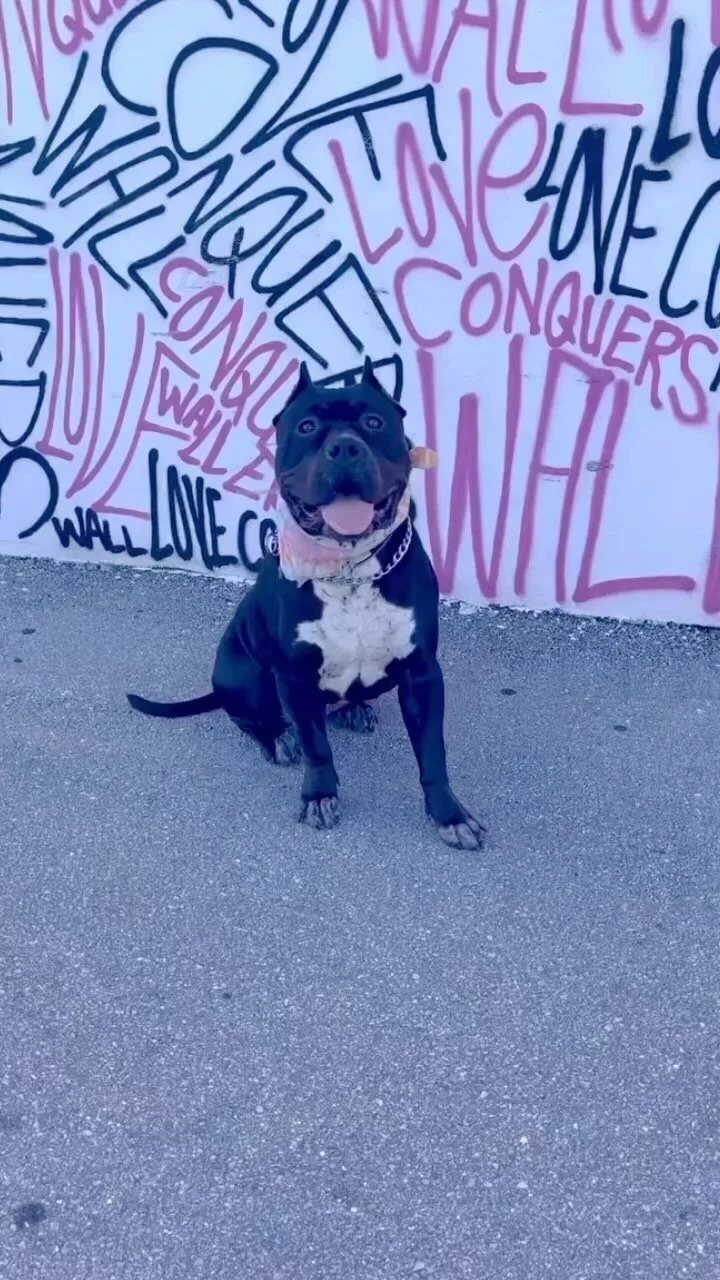 The Warehouse District West Palm Beach Dining & Retail