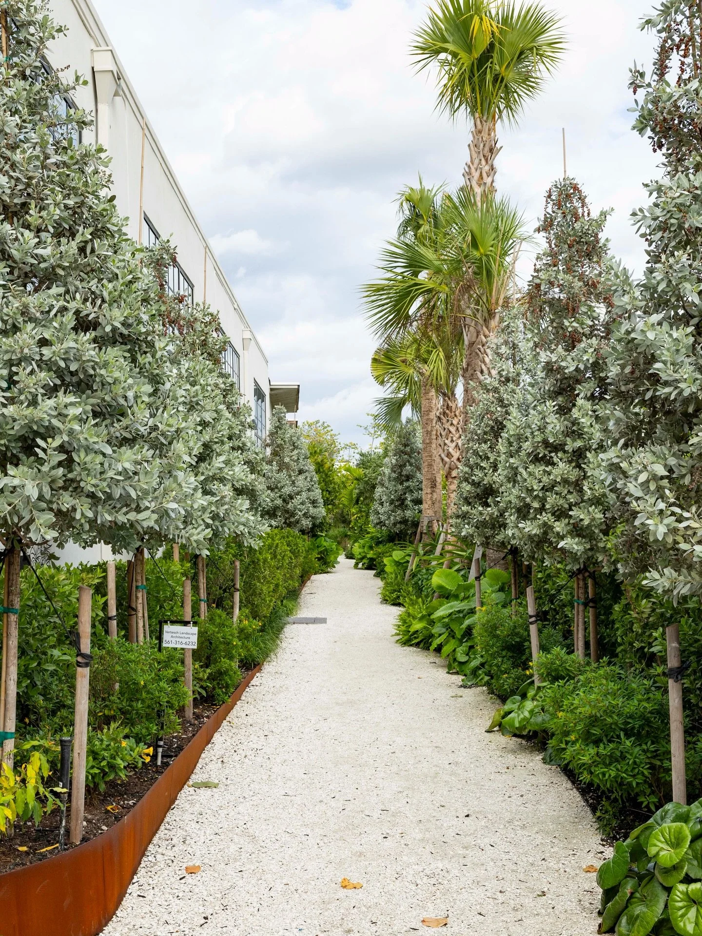 When it came to bringing new life to Caroline Station, we knew the outdoor spaces needed to be just as intentional as everything else. We brought in Vertesch Landscape Architecture to make sure every corner of the property felt lush, alive, and worth