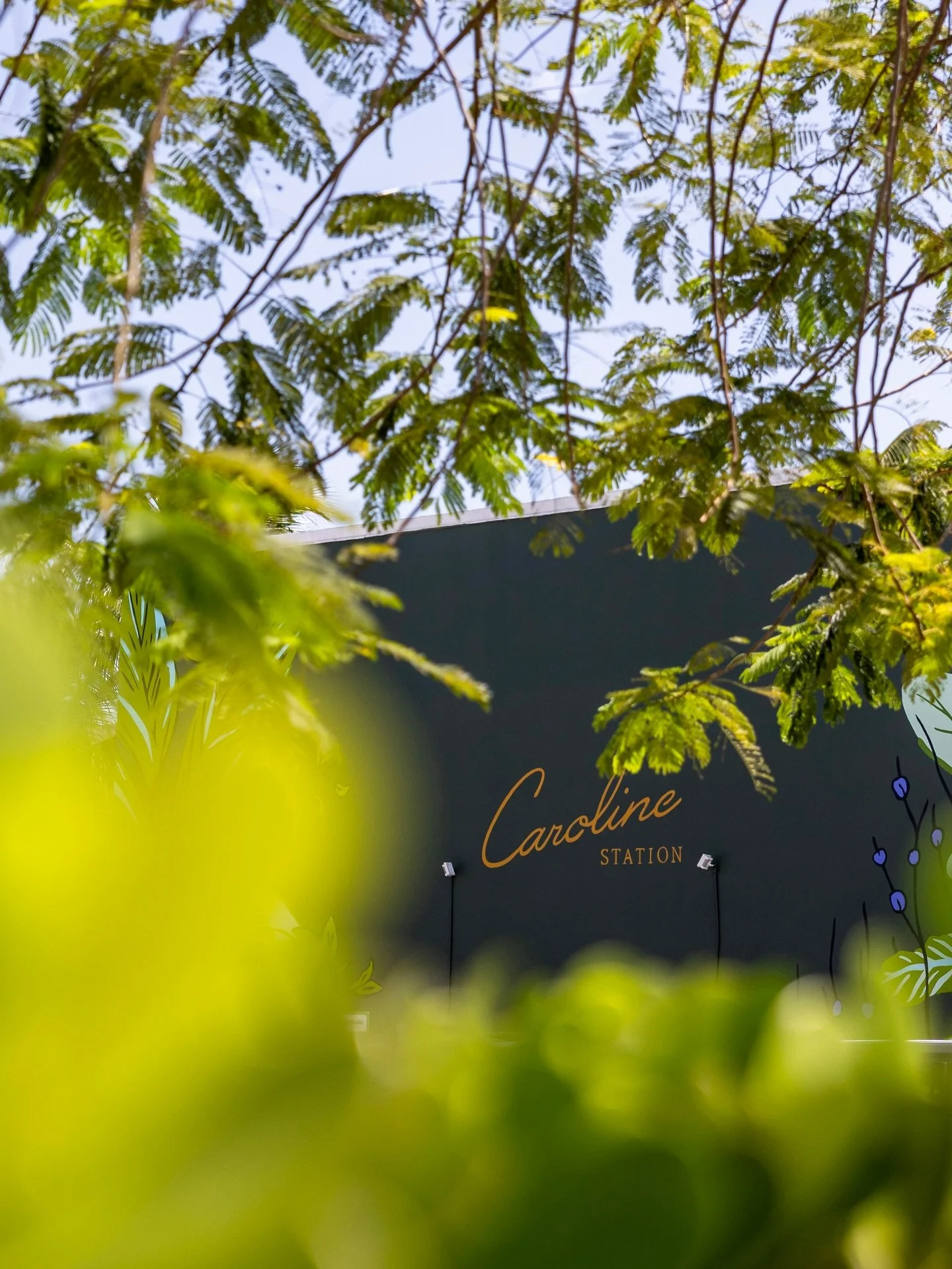 Just a bit of that Caroline gold to brighten this gloomy Monday. ✨ Rain or shine, there&rsquo;s always something worth showing up for &mdash; coffee at Isla, a yoga class at Bindu, a browse through the shops, or a glass of something good at The Tasti
