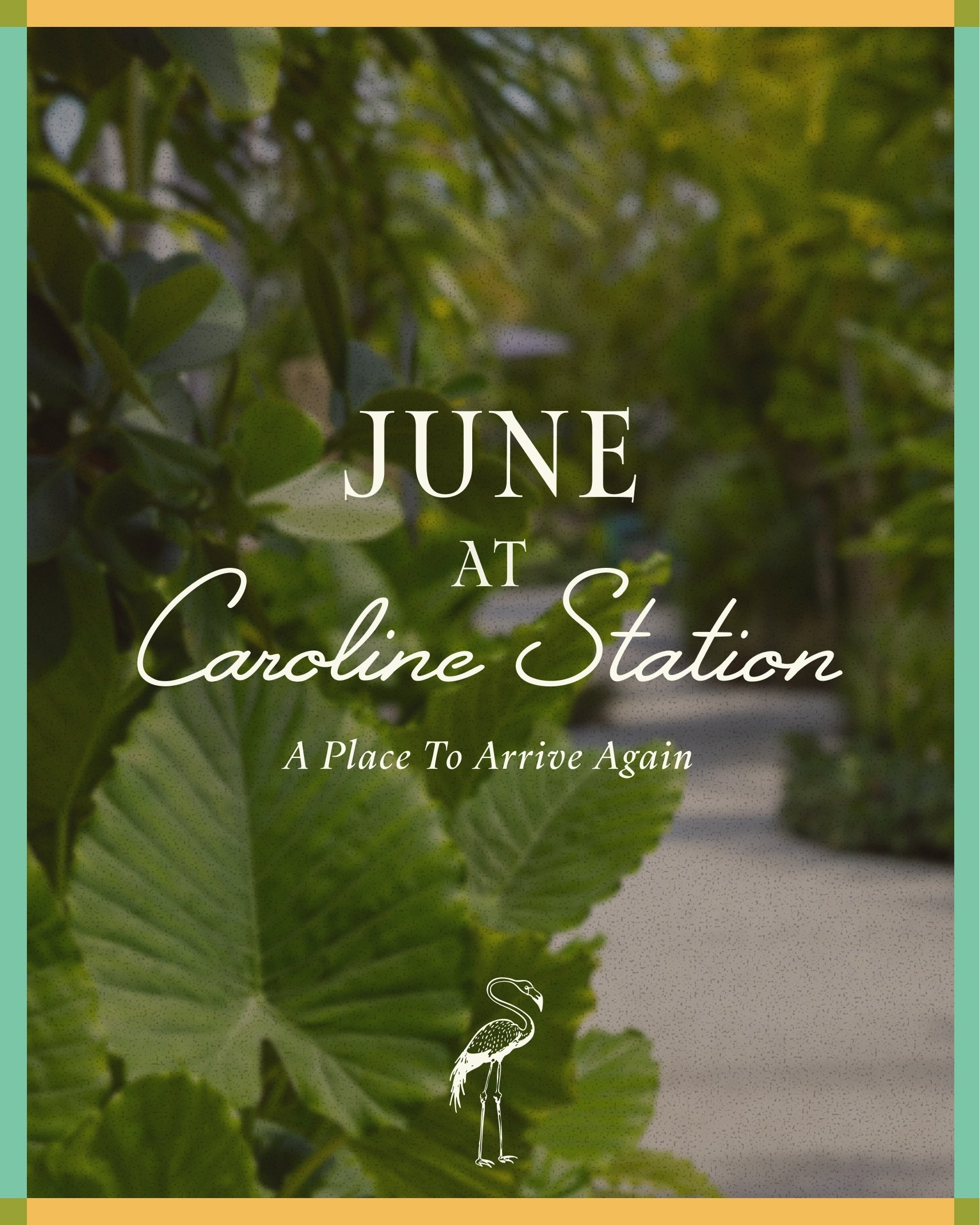 June has arrived, and there&rsquo;s plenty happening at Caroline Station this month. From yoga classes and wellness events to wine tastings, live music, and summer shopping, there&rsquo;s something for everyone all month long. Swipe through for the f