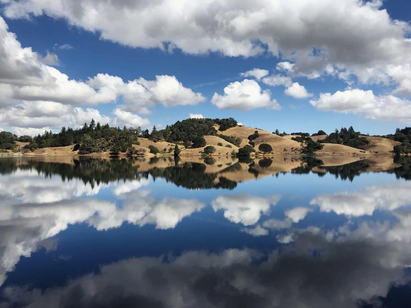Bon Tempe Lake, California.