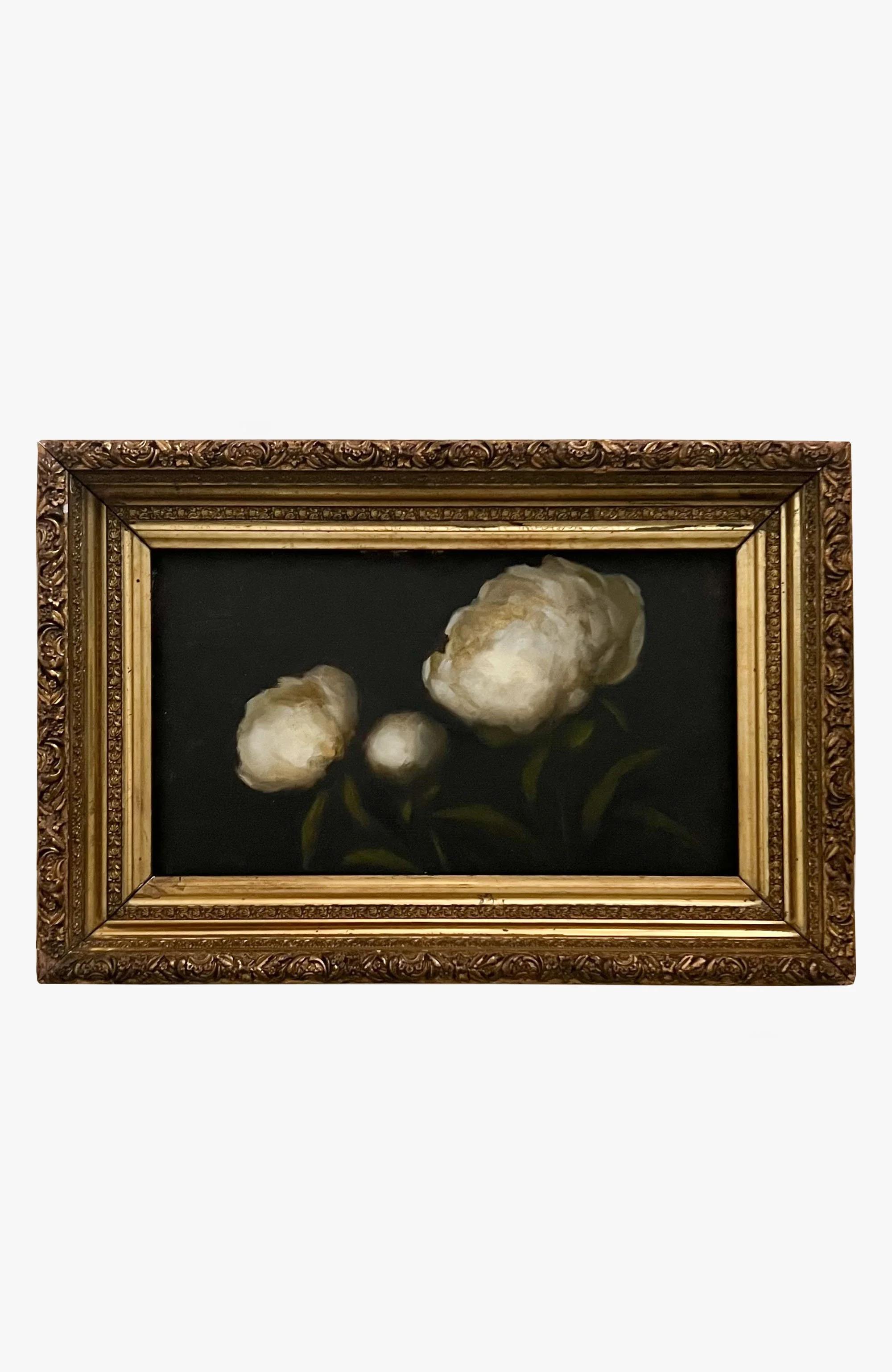 botanica_22.jpg