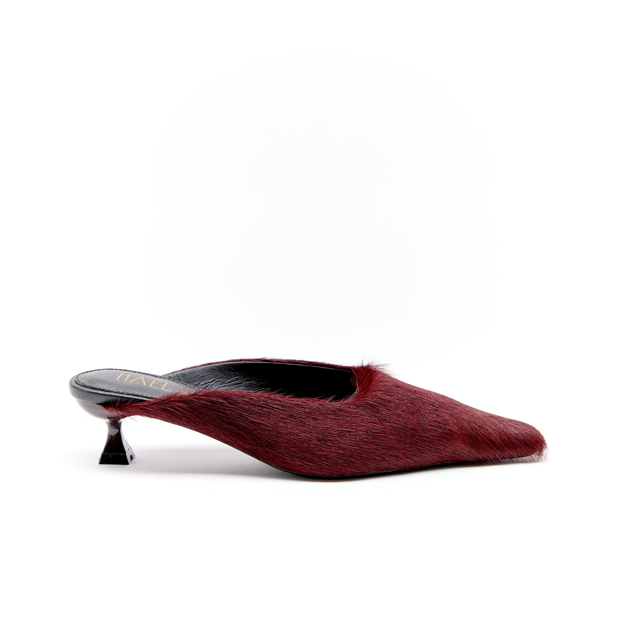 PAISLEY SHIRAZ (2).jpeg