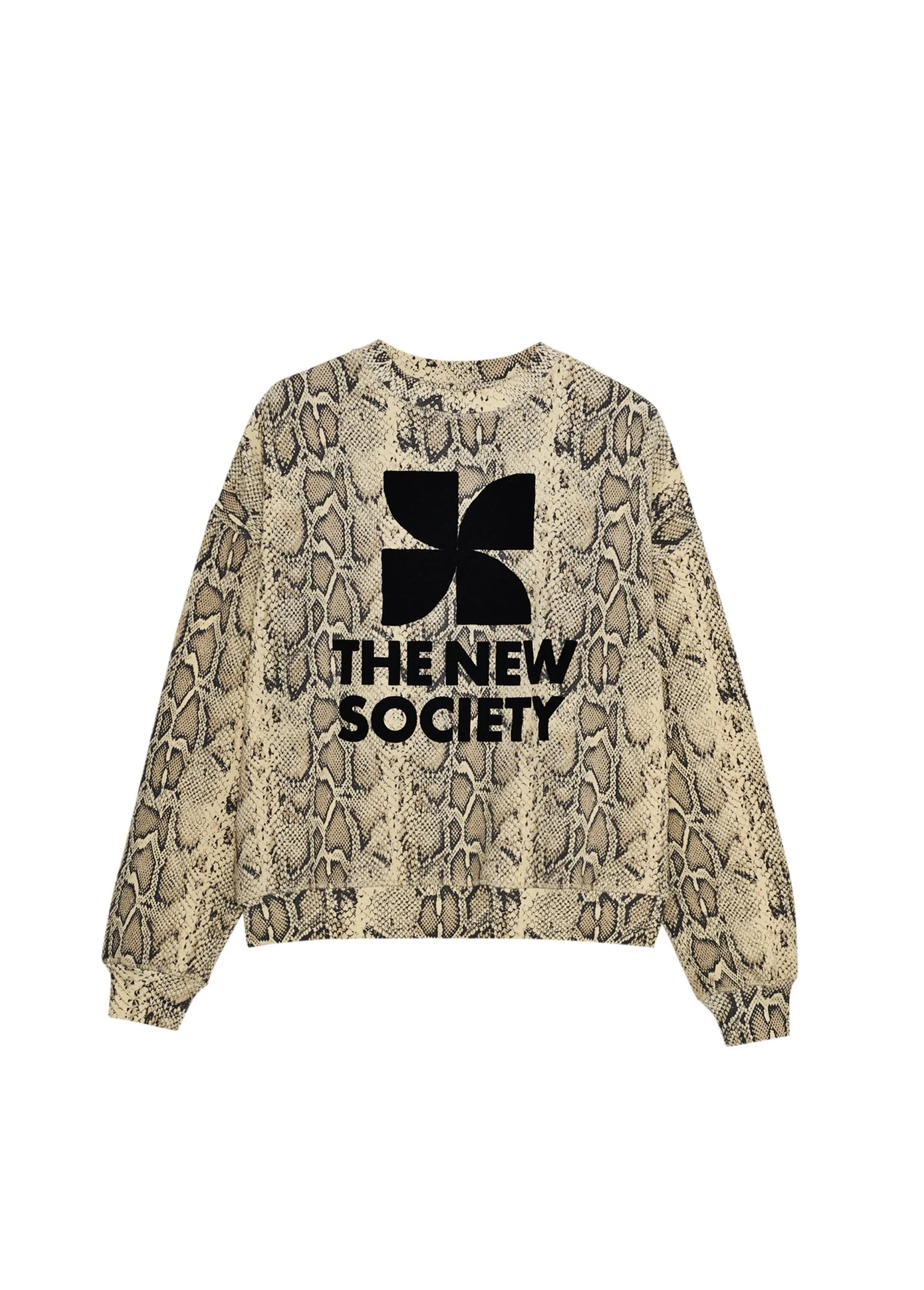TNS 2025 envio 2-3 258.jpeg