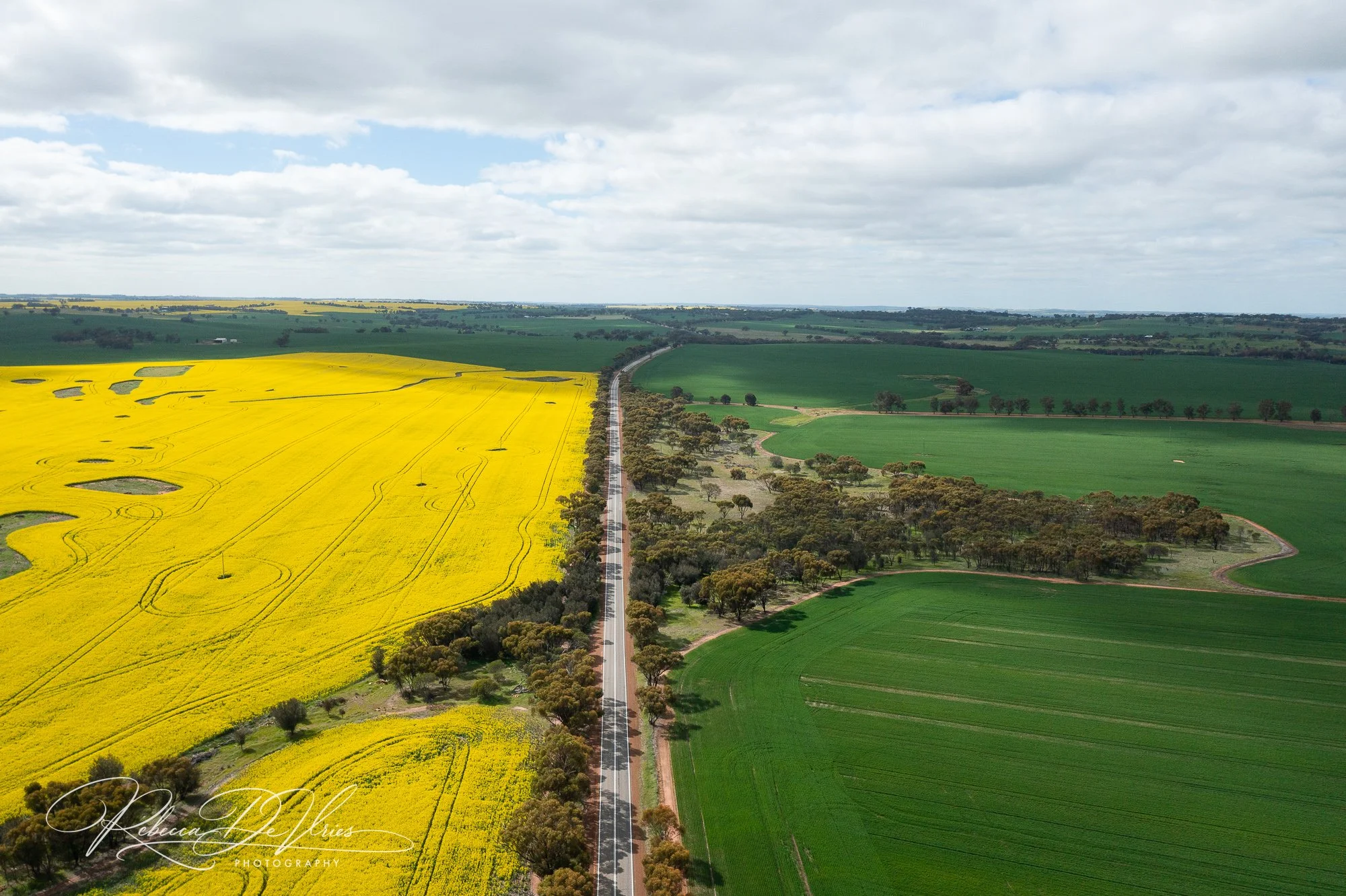 Winter Fields in the Wheatbelt