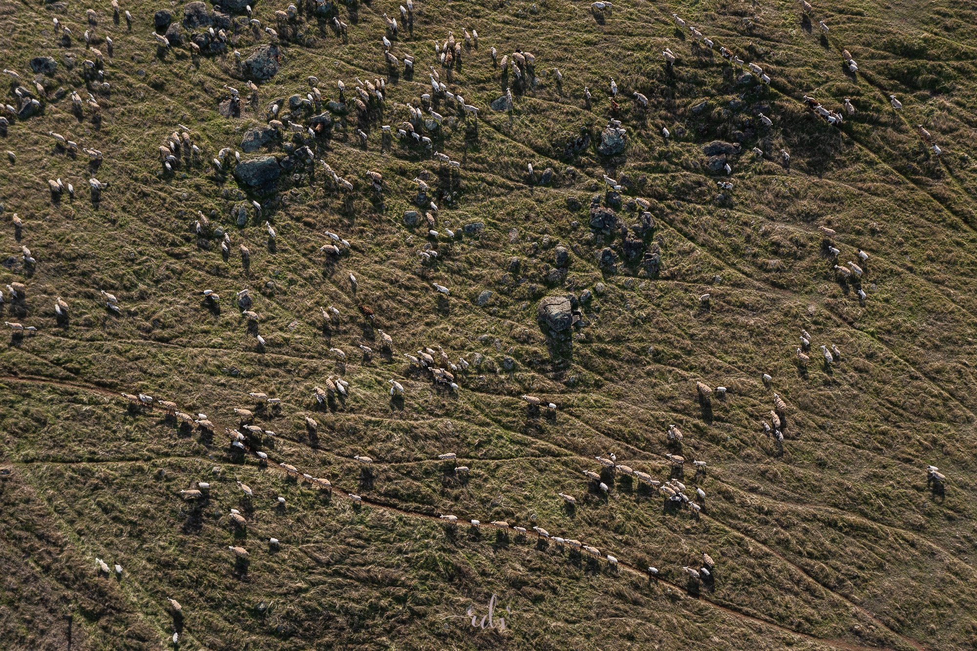 DJI_0392.jpg