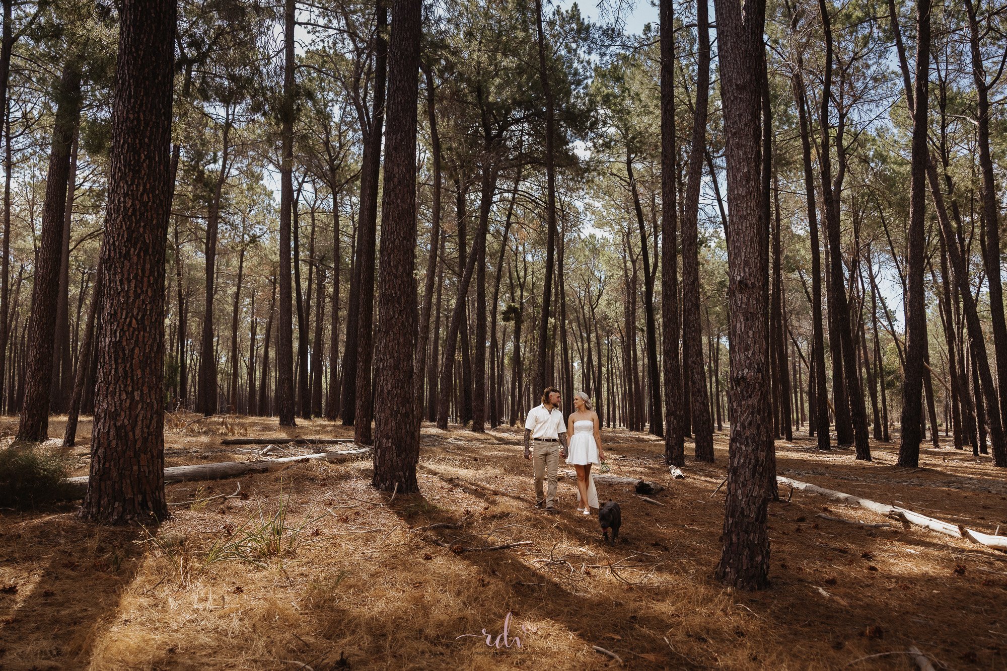 Elopements in the Pine Forest