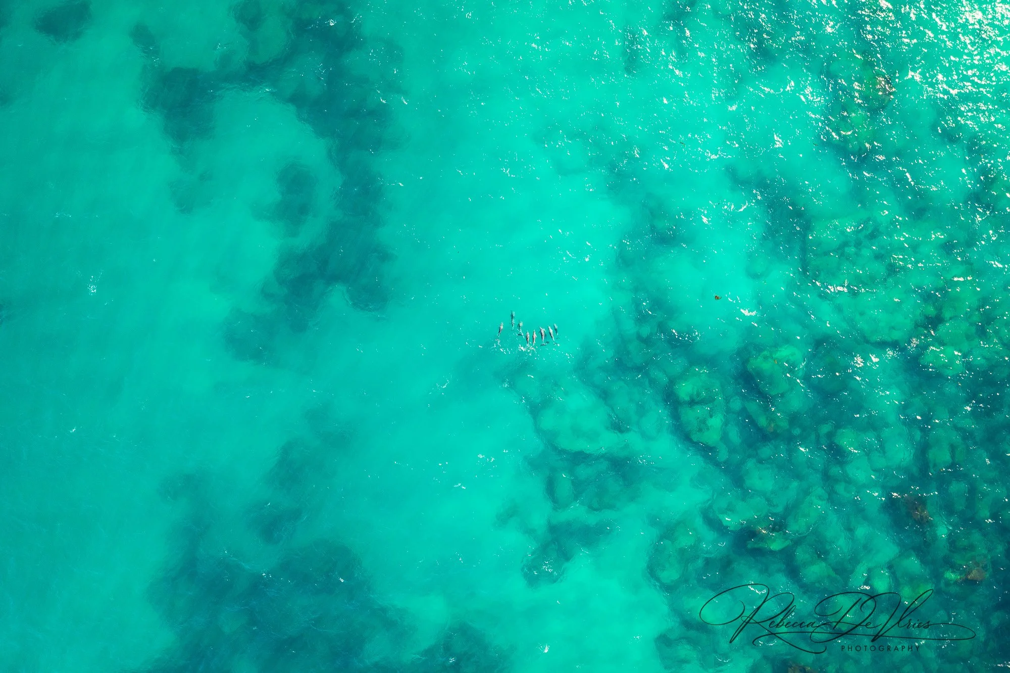 Ocean