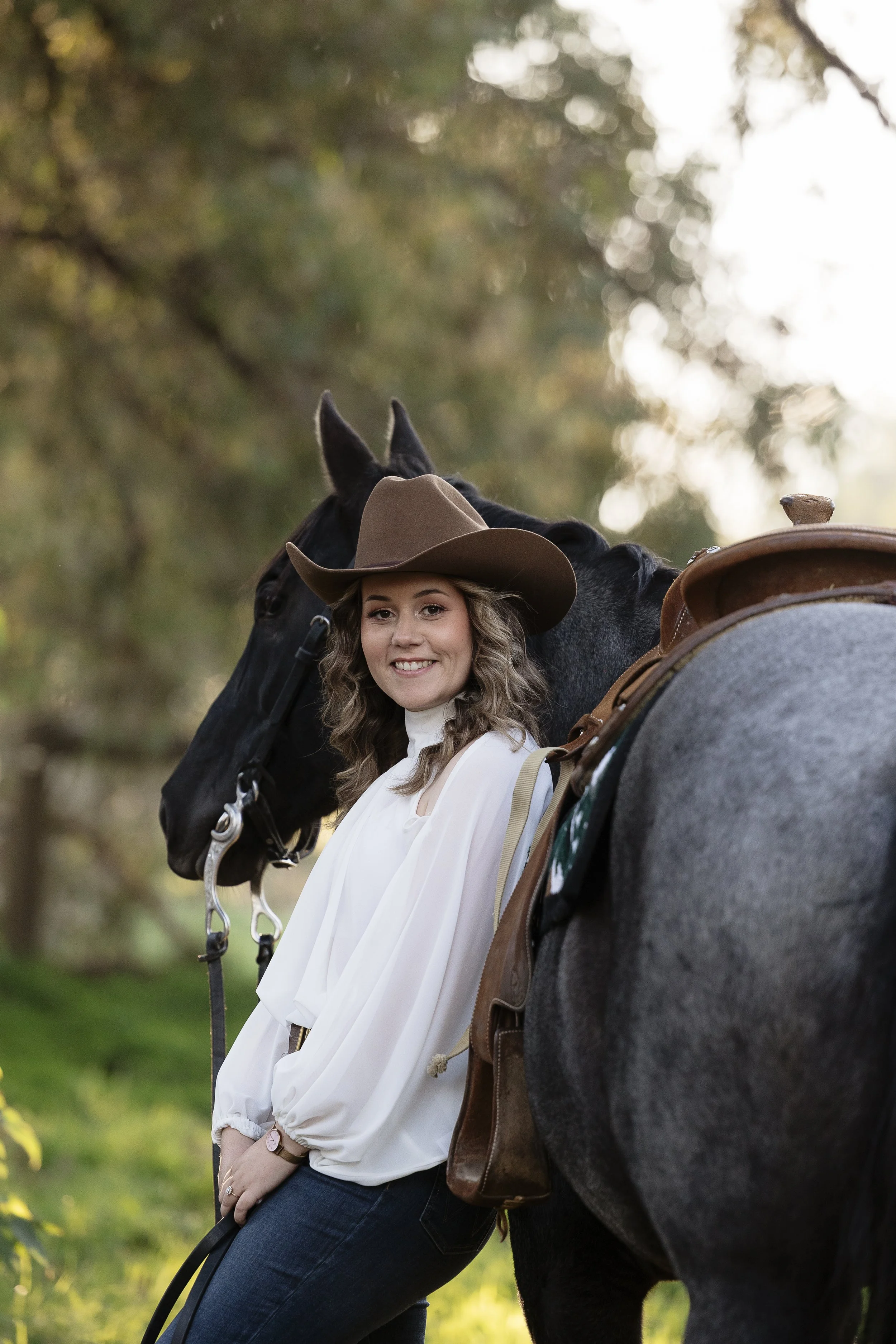Horse Portraits