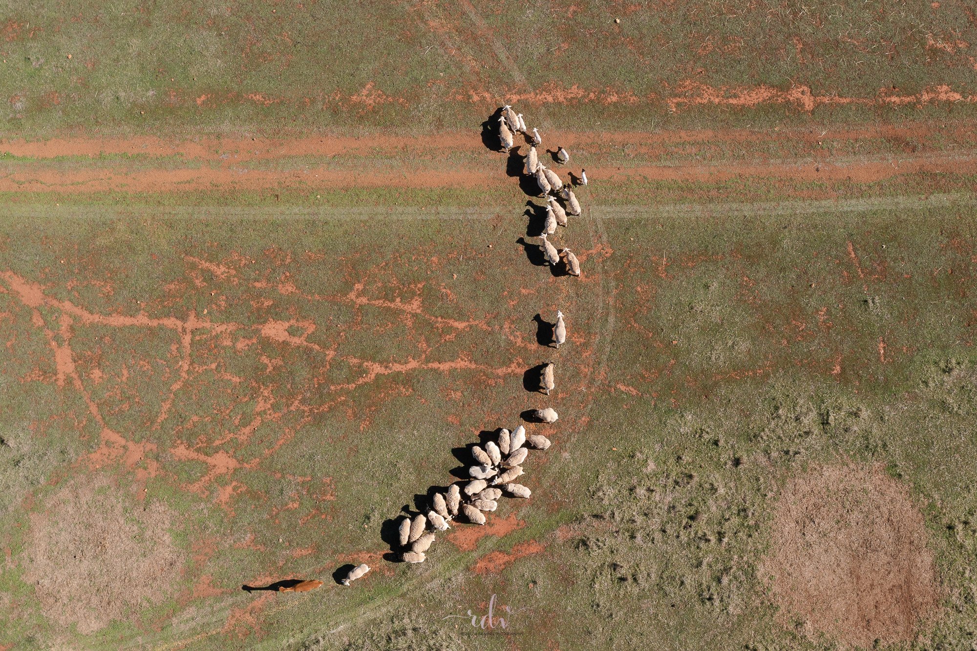 DJI_0422.jpg