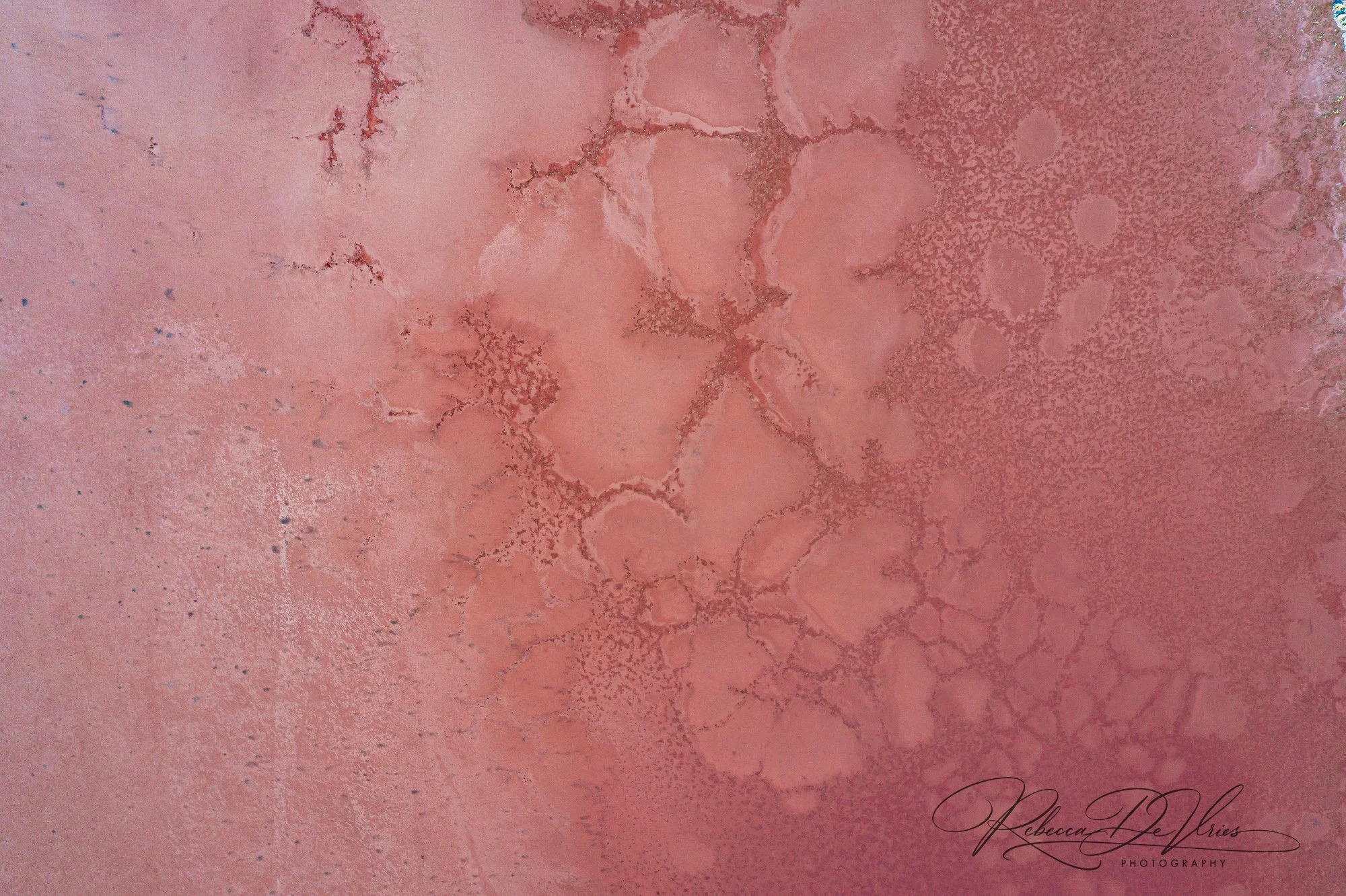 Pink Salt Lakes