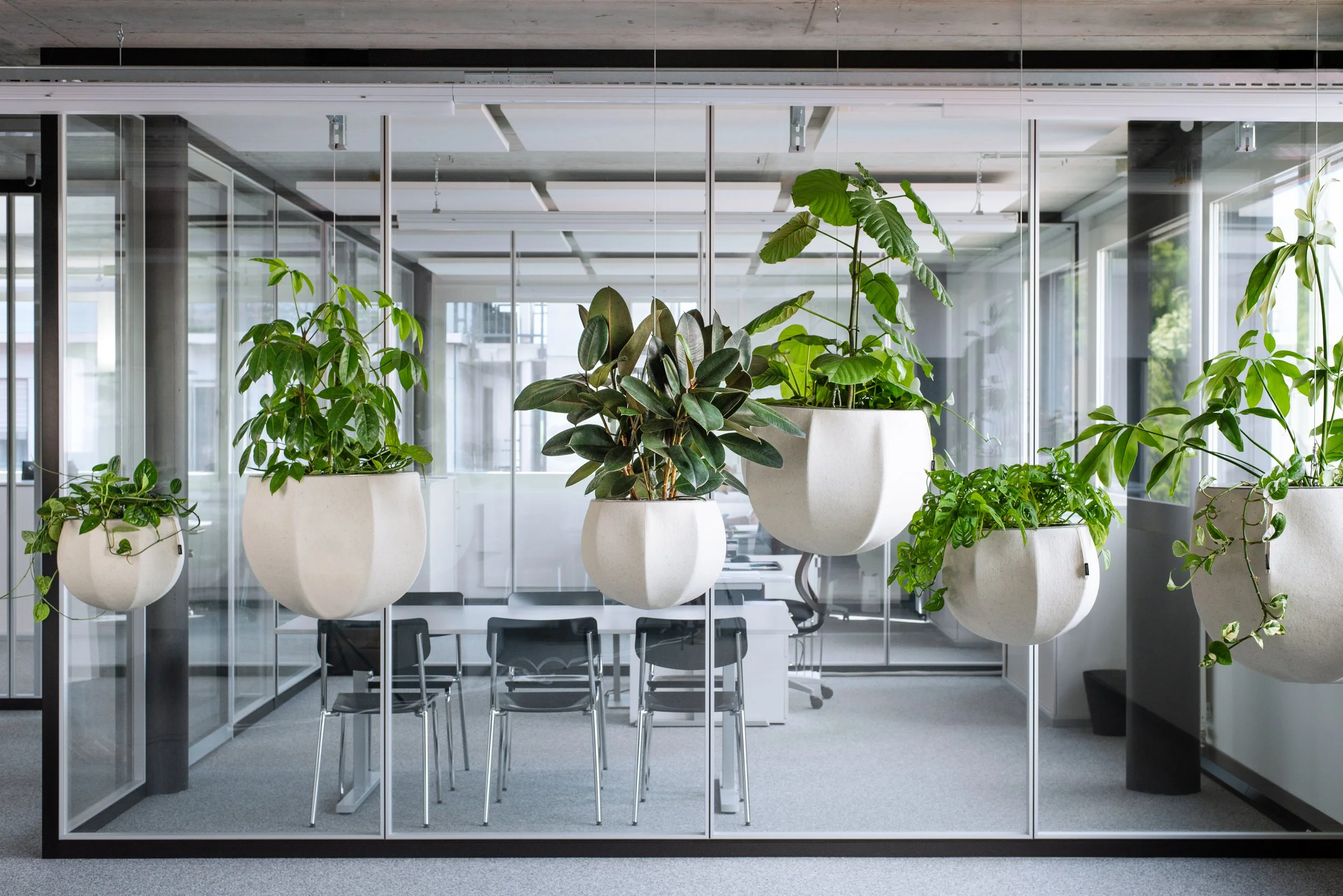 Tag der offenen Tür