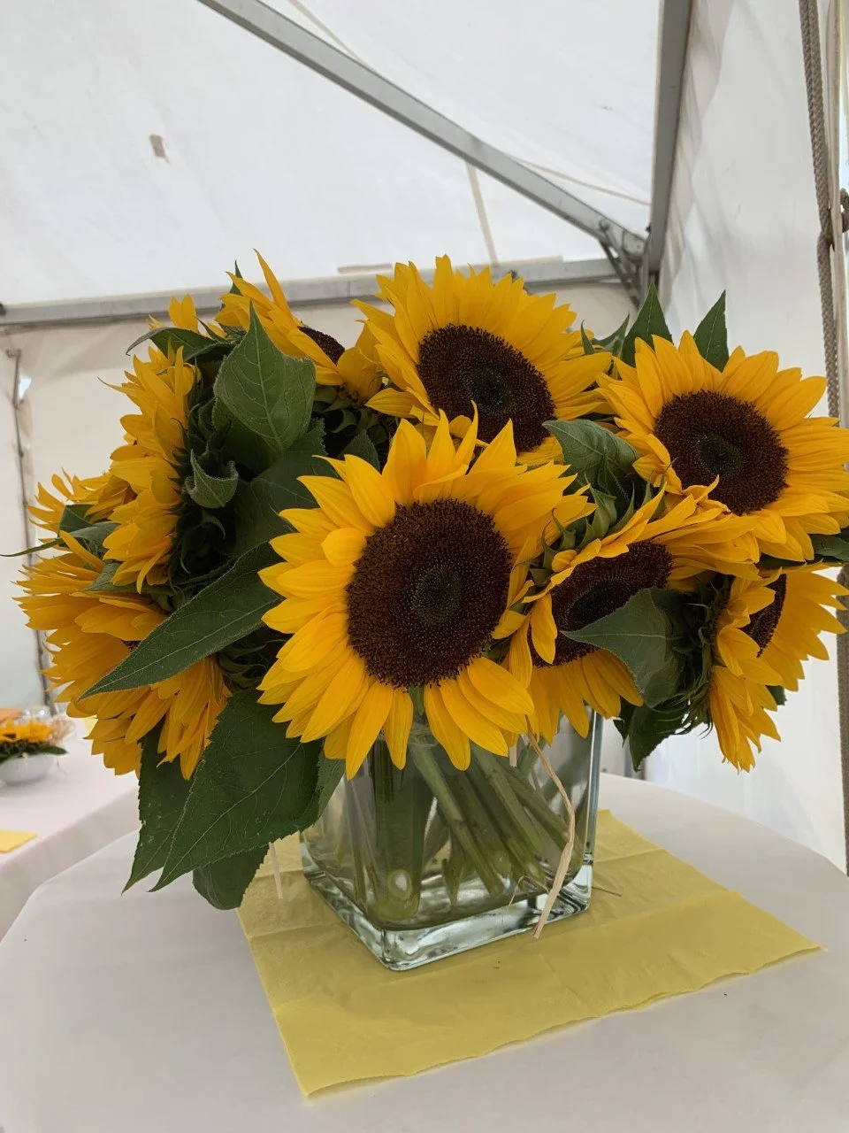 Rückblick - Tage der offenen Tür