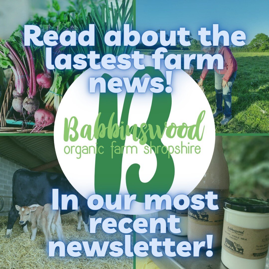 Our Farm News! Read on to find out more about the farm and if you can please answer our short survey. Thank you 😊