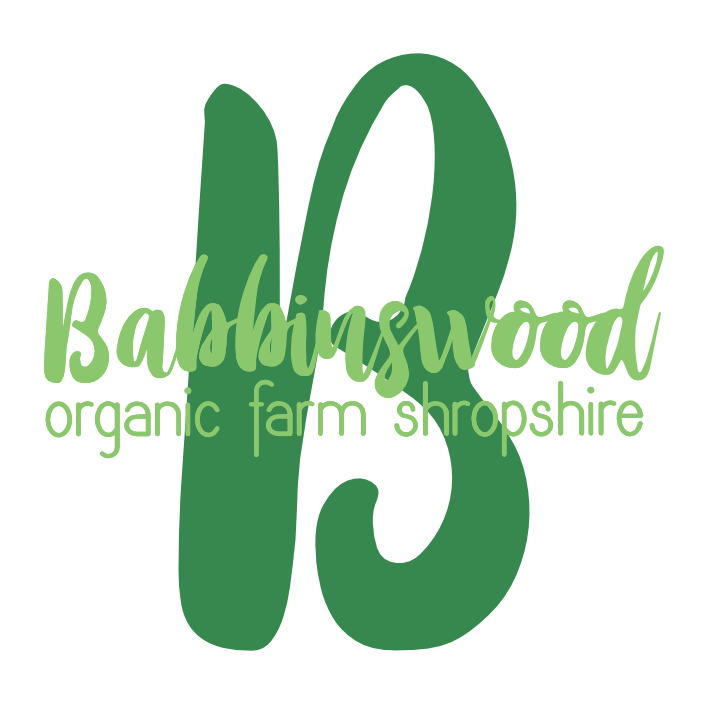 BABBINSWOOD FARM