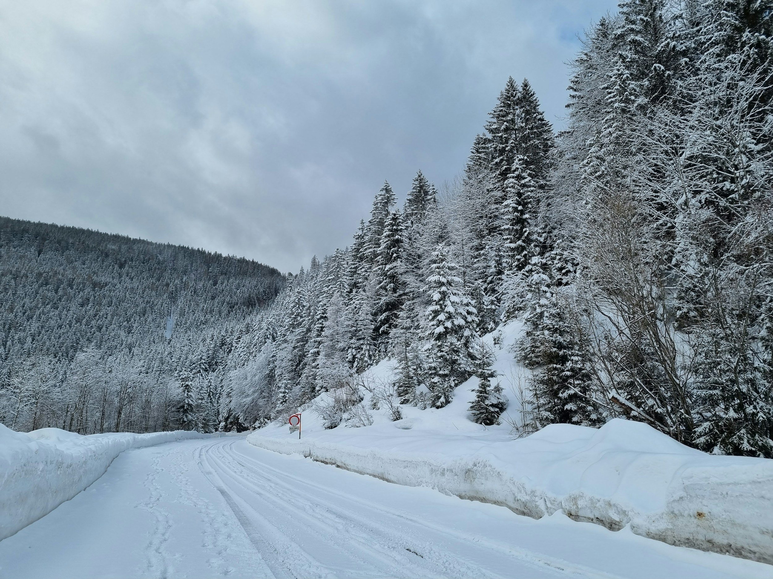 Gegen laufende Nasen im Winter