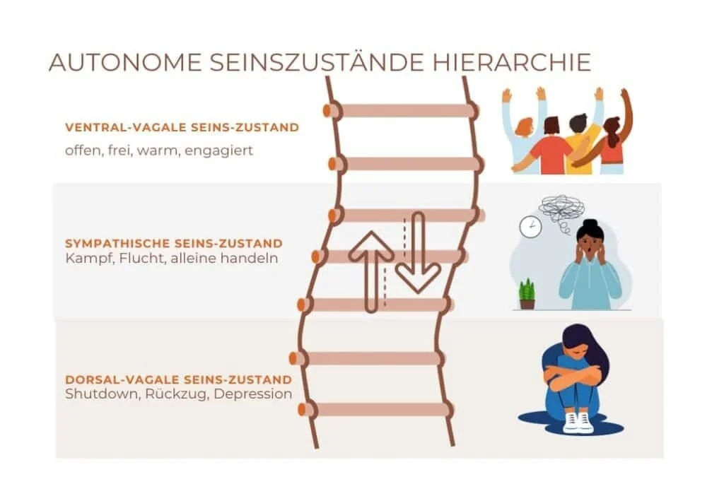 Autonomes Nervensystem - unser innerer Kompass