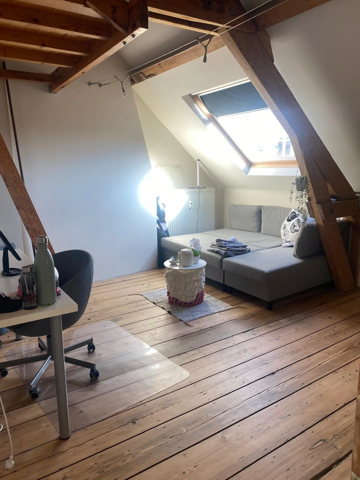 WhatsApp Image 2026-02-15 at 20.54.00.jpeg