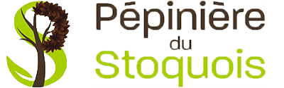 Pépinière du stoquois