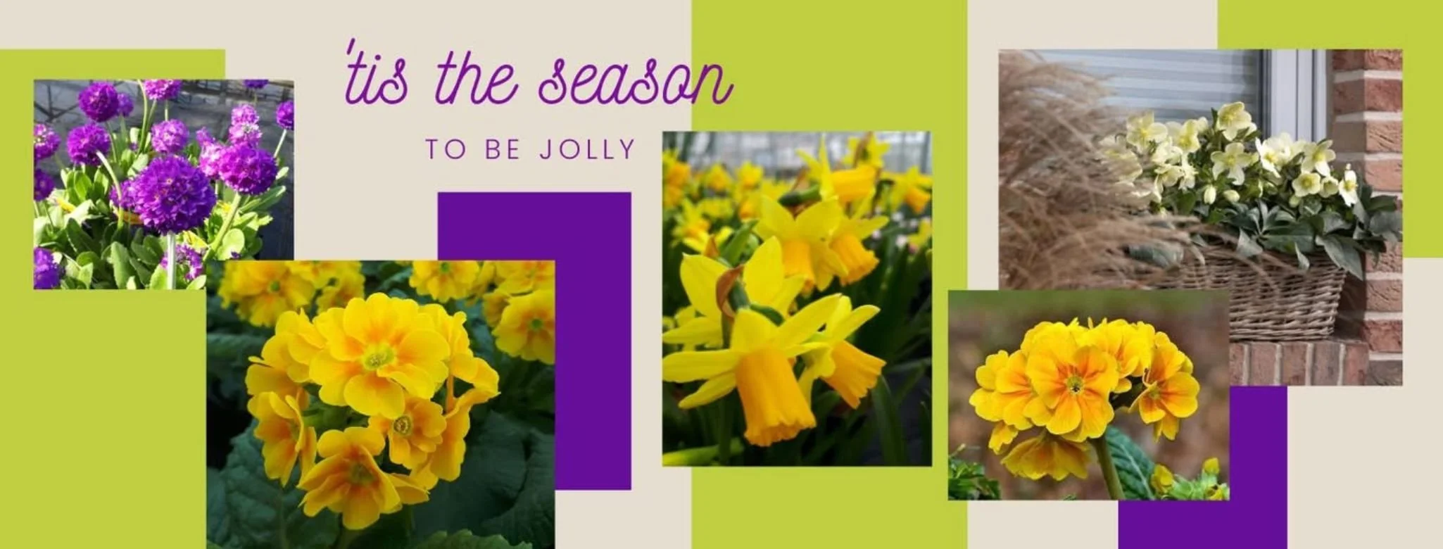 Copie de Réouverture pépinière automne.jpg