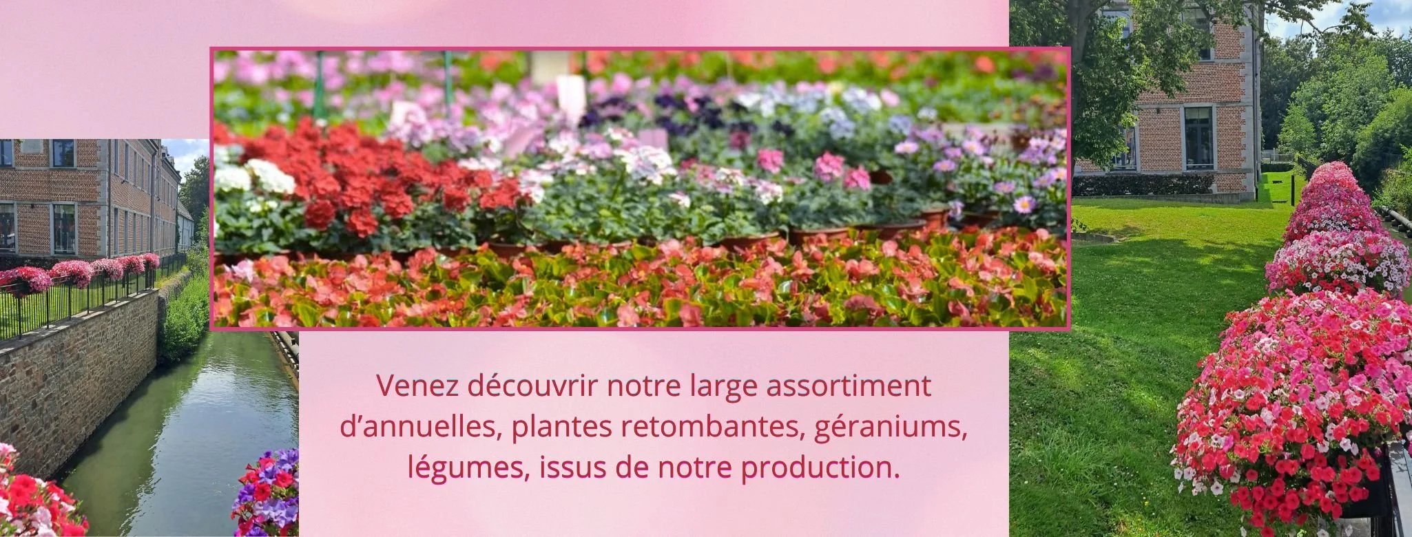 Copie de Réouverture pépinière automne (6).jpg