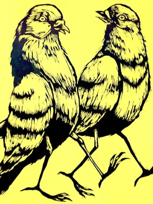DOVE /SOLIDARITY CAMPAIGN/