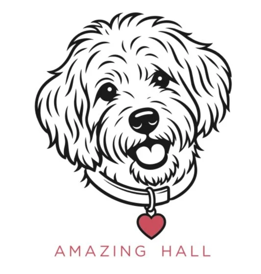 Amazing Hall