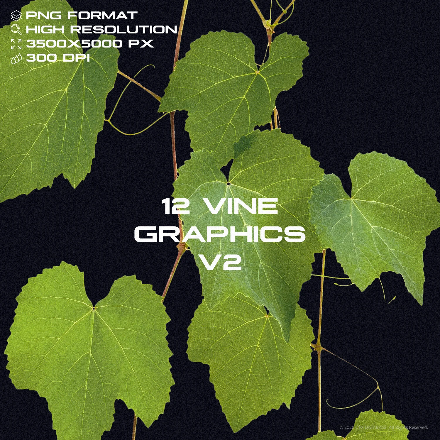 vine-pack-2.jpg