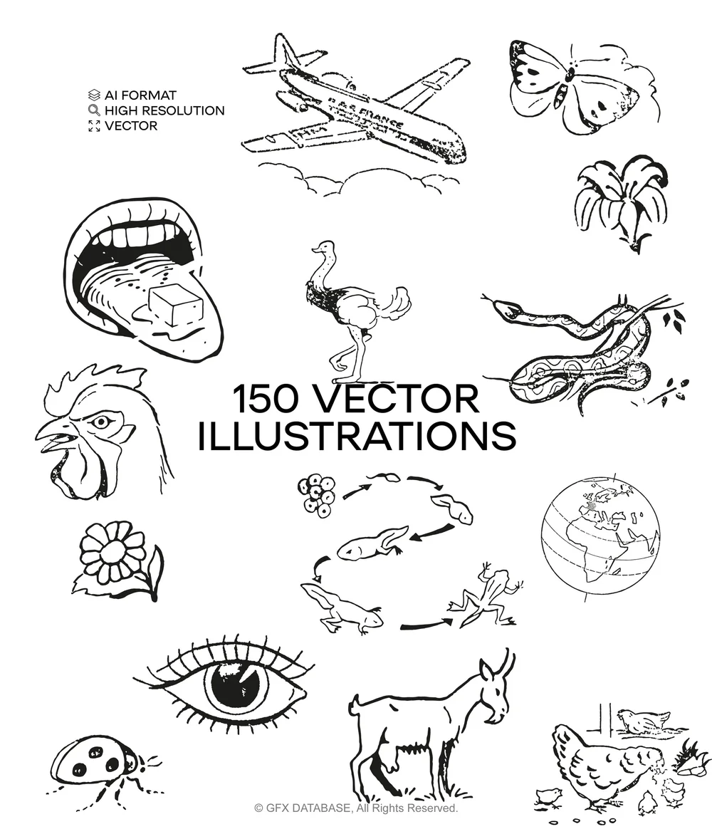 Vector Objects Pack V1 — GFX DATABASE