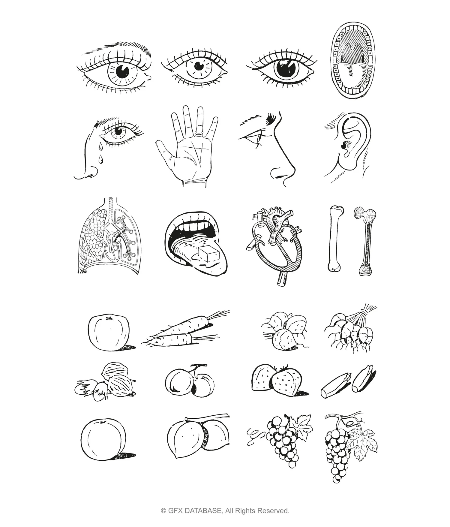 Vector Objects Pack V1 — GFX DATABASE