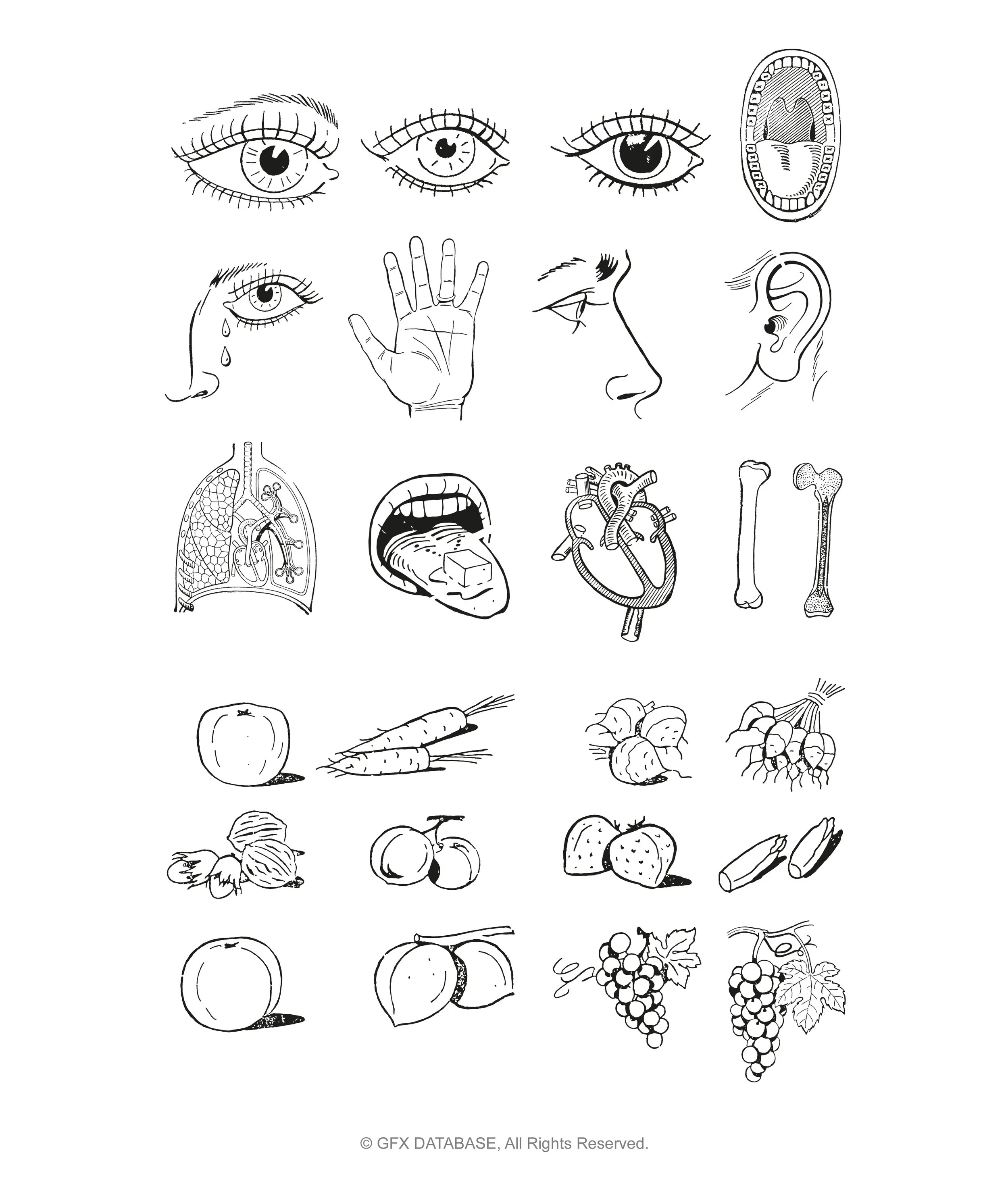 Vector Objects Pack V1 — GFX DATABASE