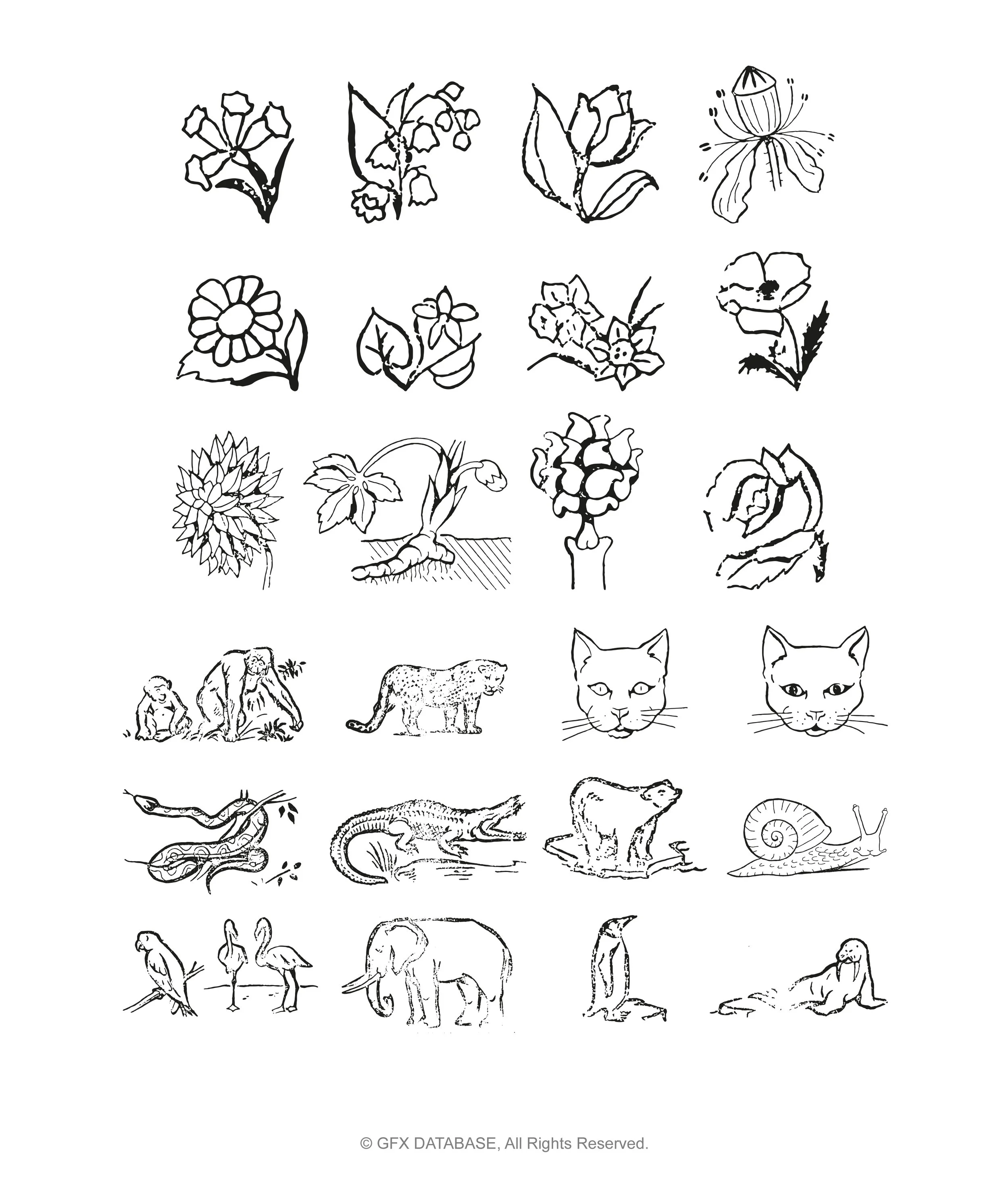 Vector Objects Pack V1 — GFX DATABASE